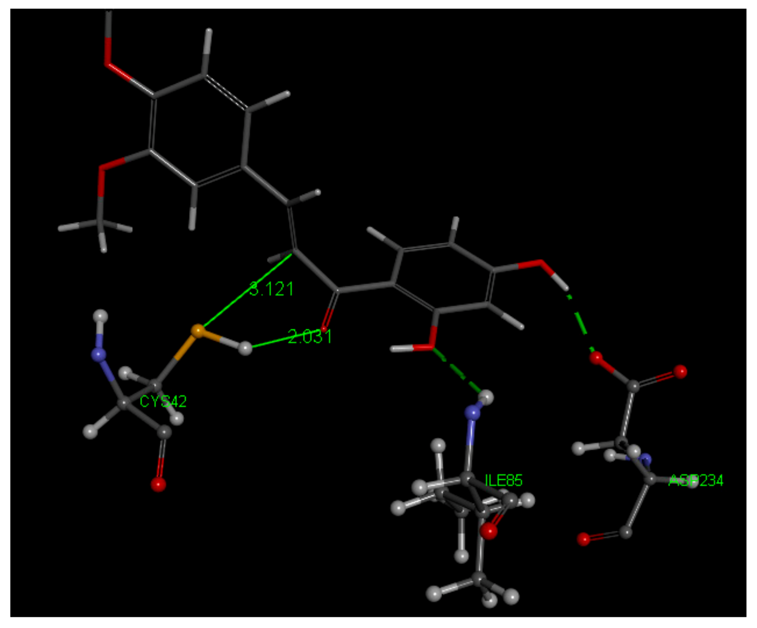 Molecules 26 06511 g021