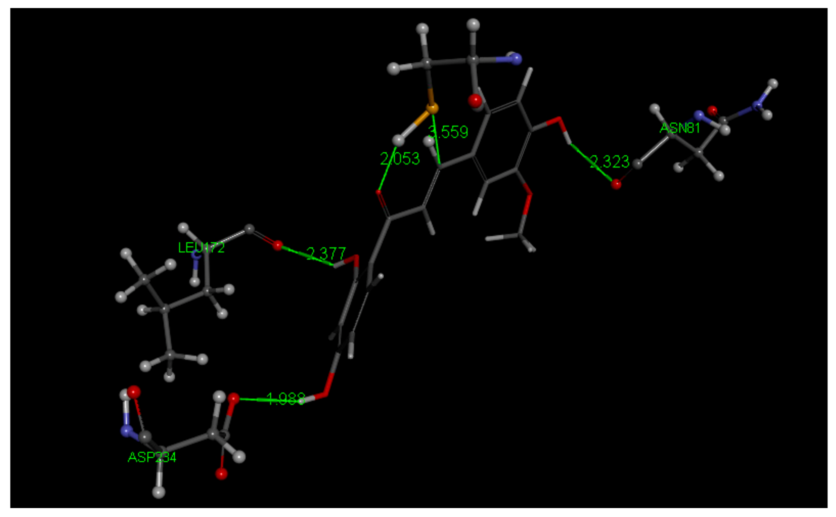 Molecules 26 06511 g023