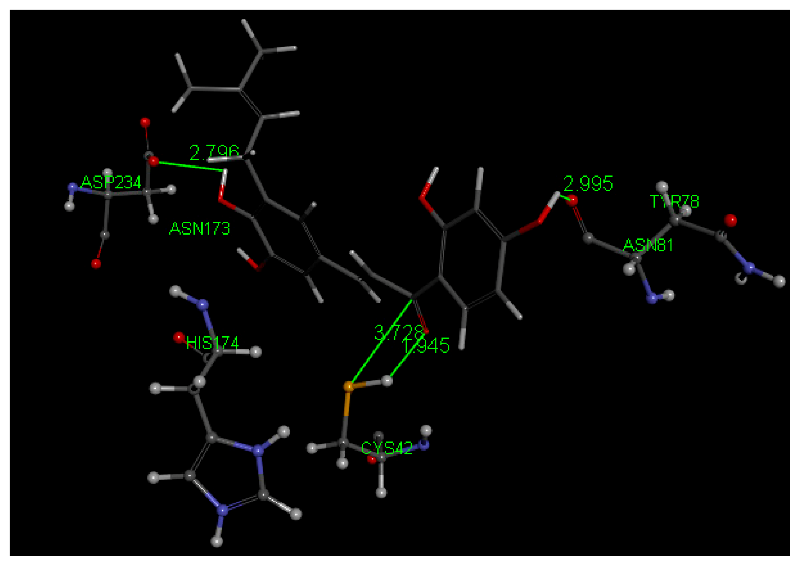 Molecules 26 06511 g025