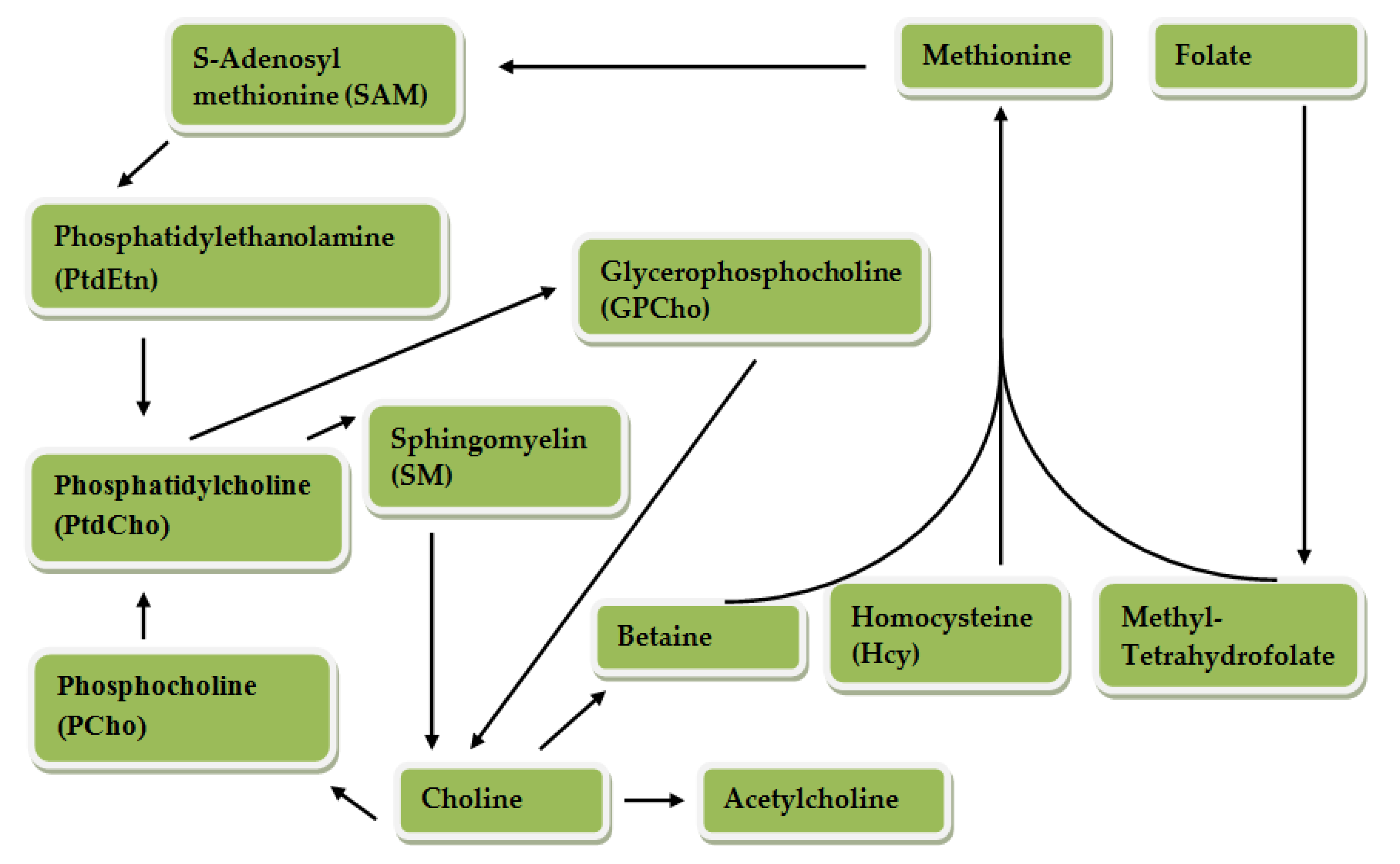 Molecules 26 06512 g002 Molecules 26 06512 g002