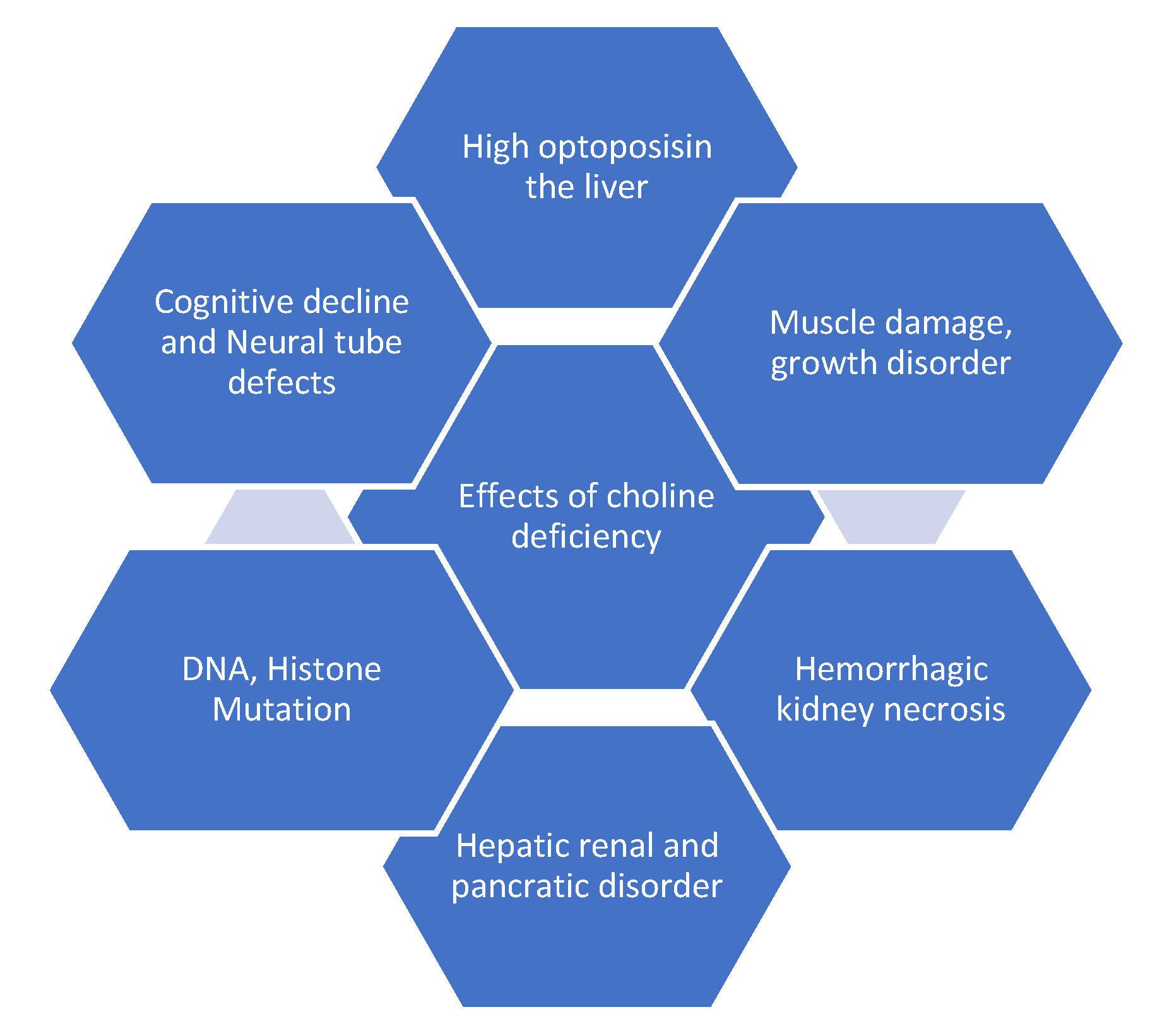 Molecules 26 06512 g003 Molecules 26 06512 g003