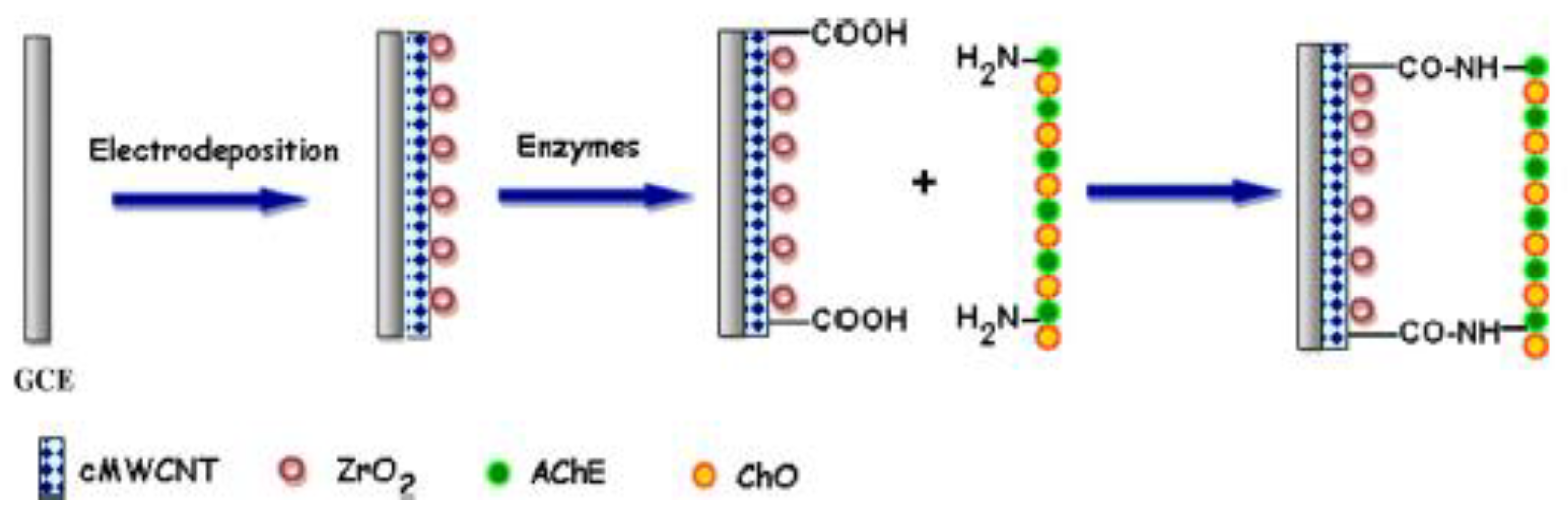 Molecules 26 06512 sch001 Molecules 26 06512 sch001
