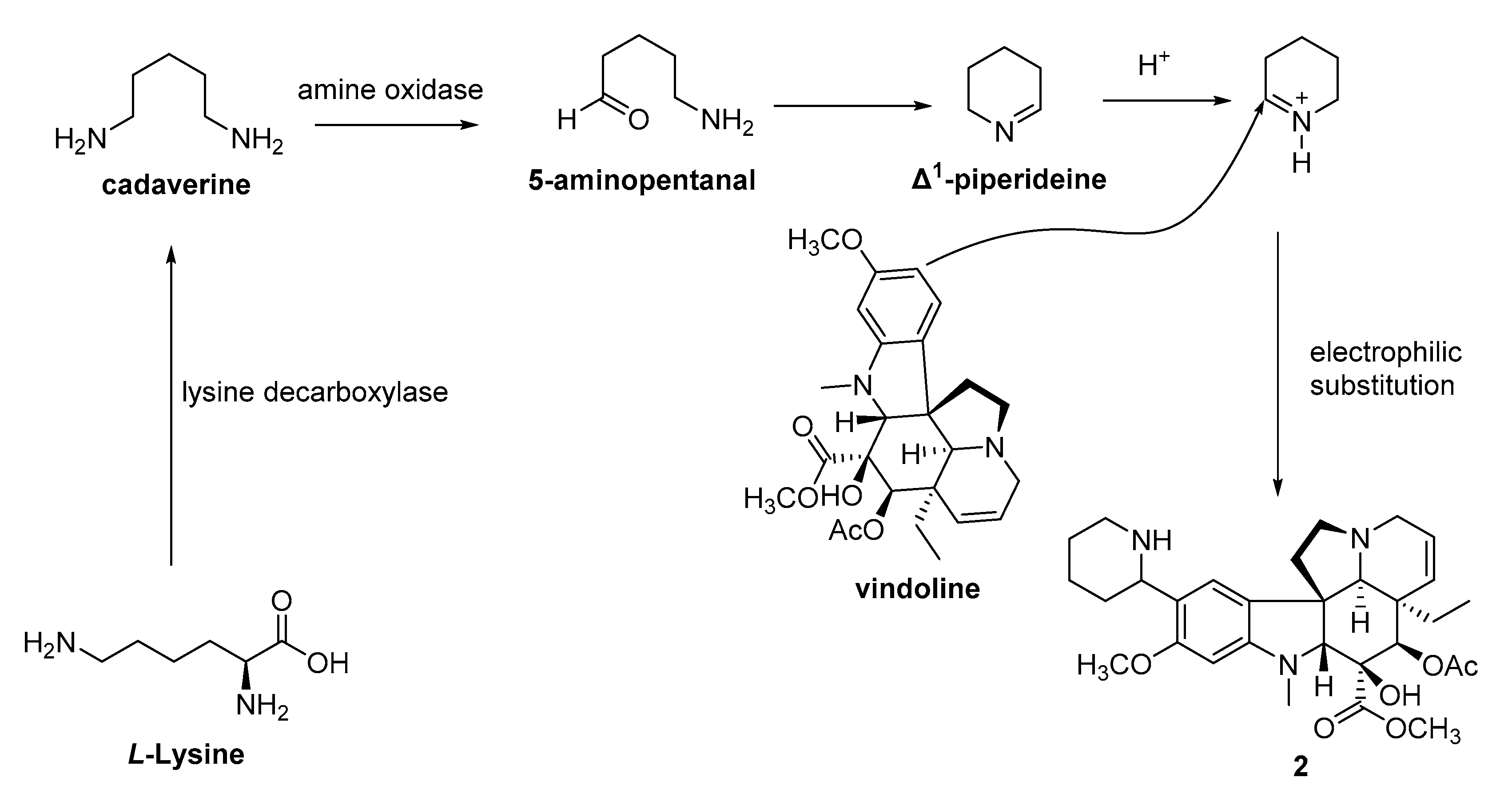 Molecules 26 06516 sch001 550