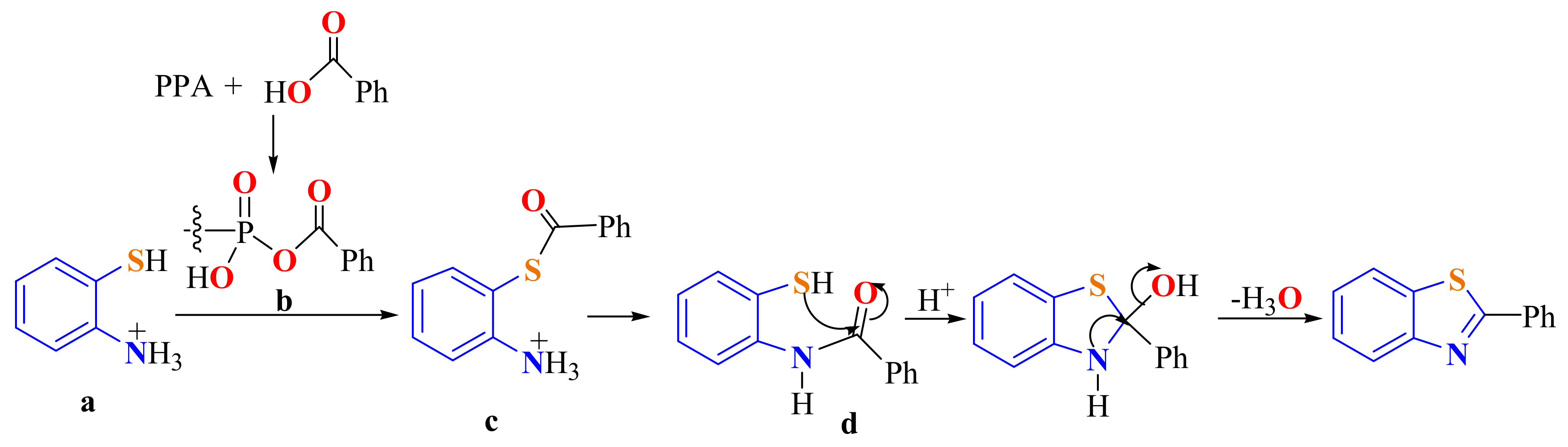 Molecules 26 06518 sch004 Molecules 26 06518 sch004