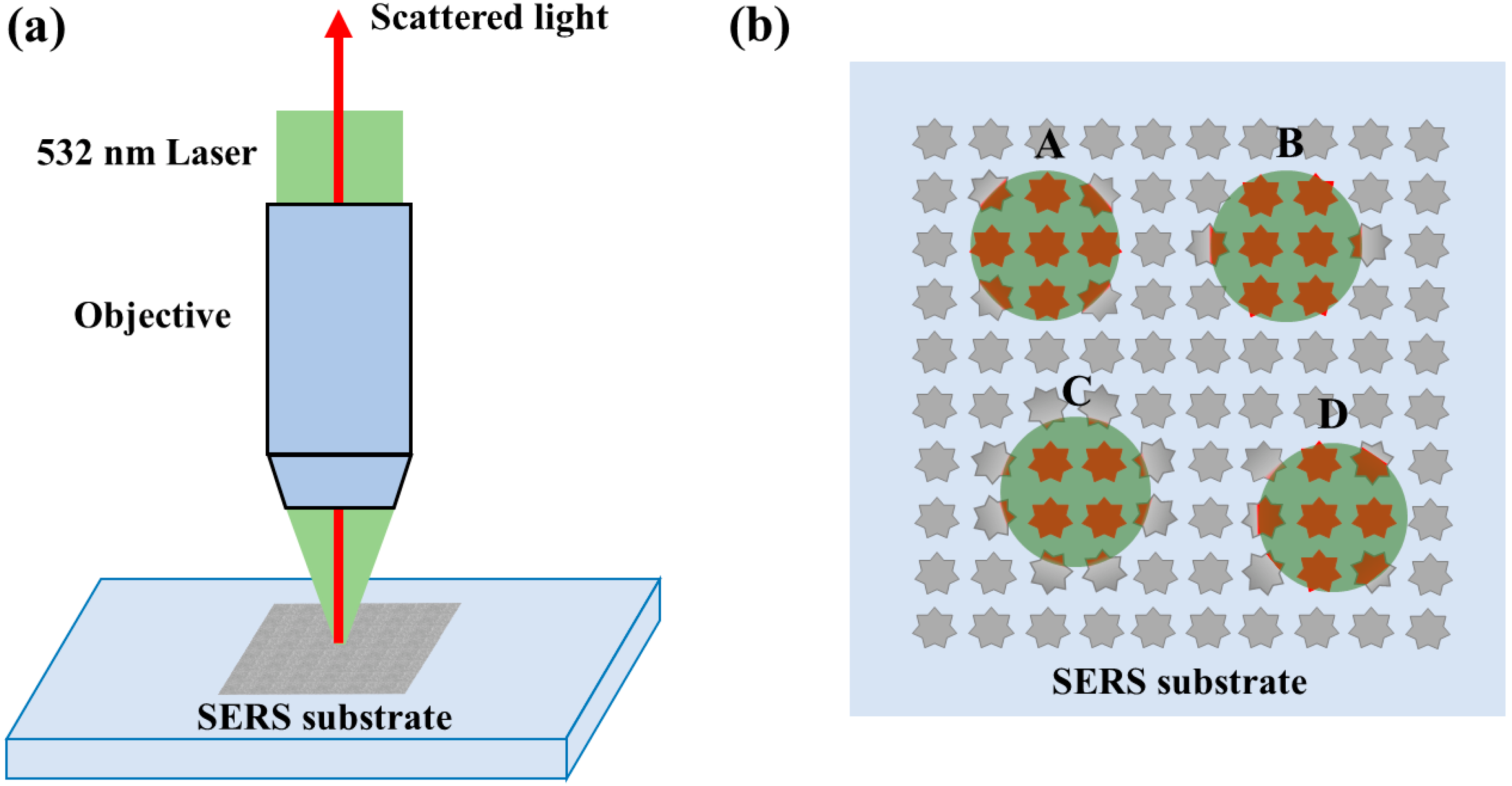 Molecules 26 06522 g001