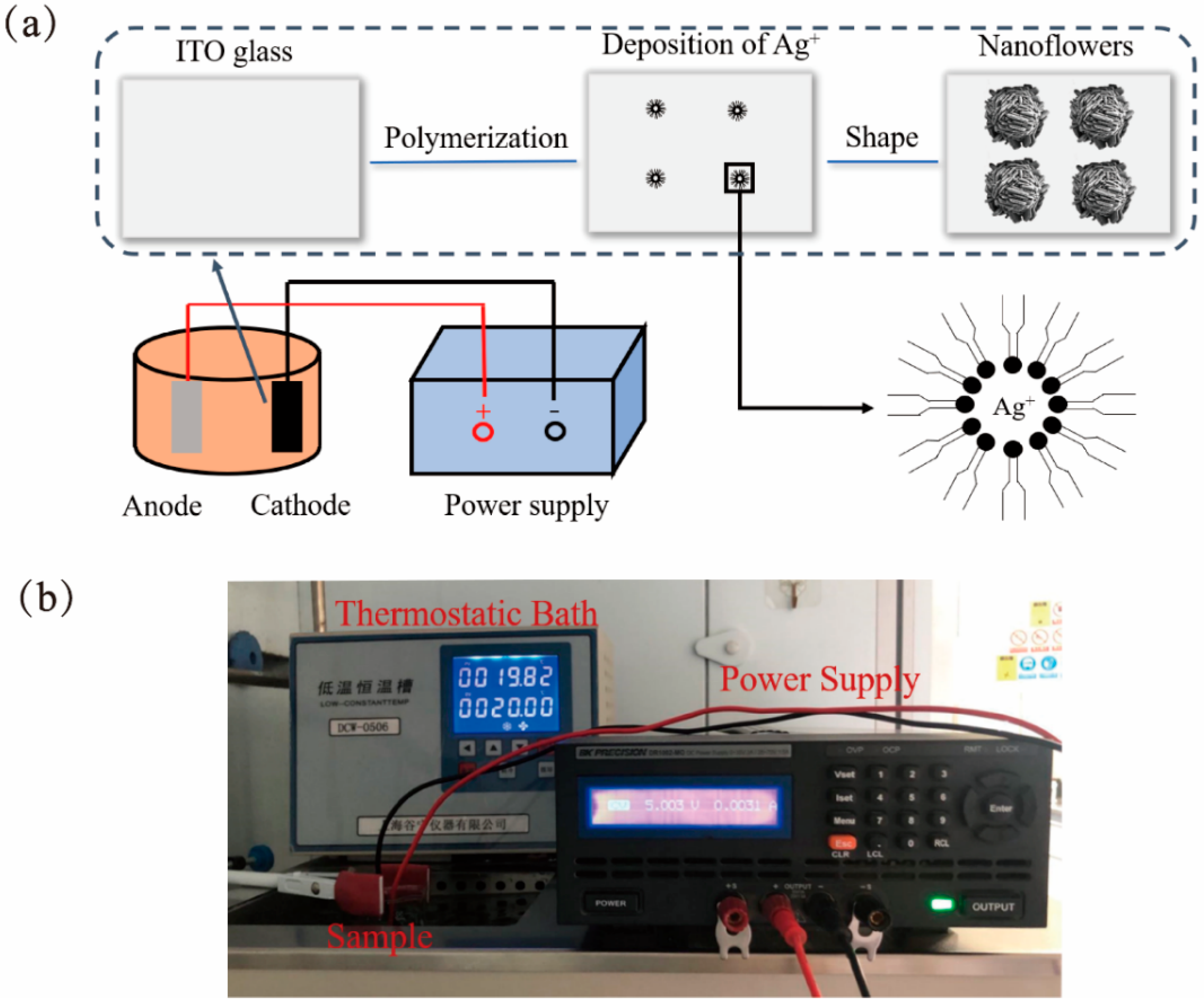 Molecules 26 06522 g002