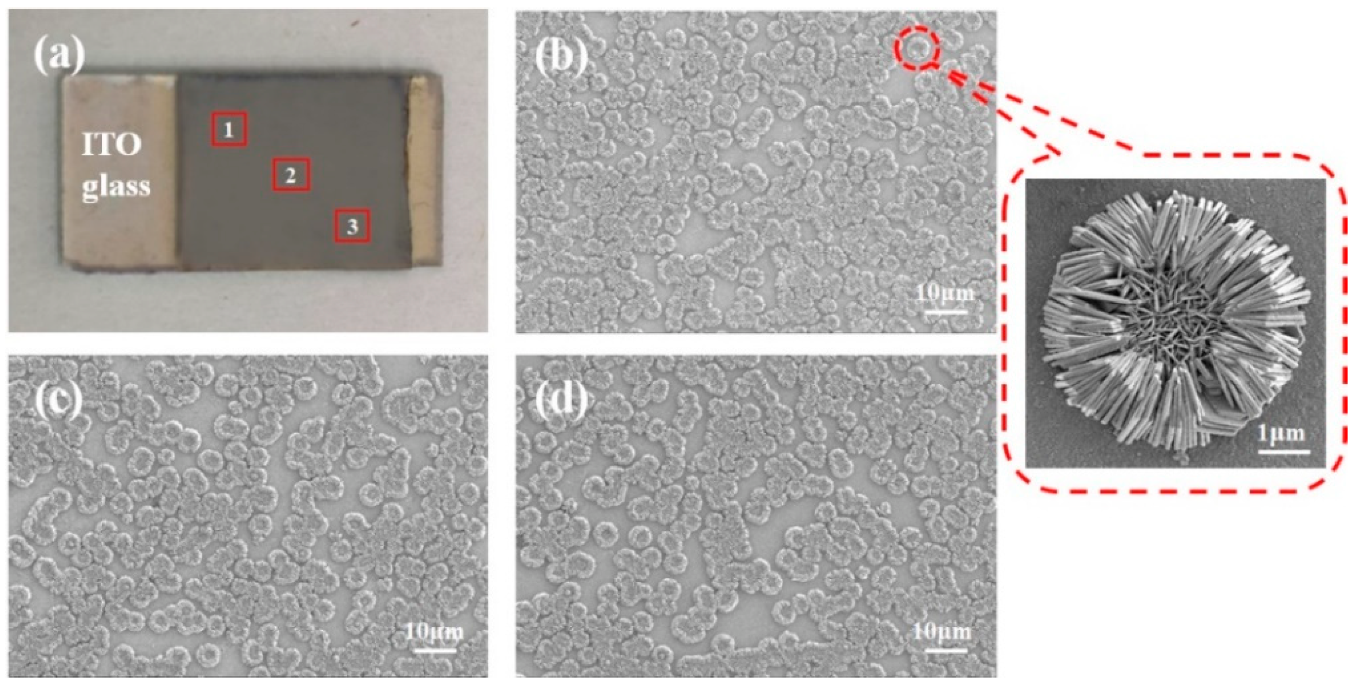 Molecules 26 06522 g005
