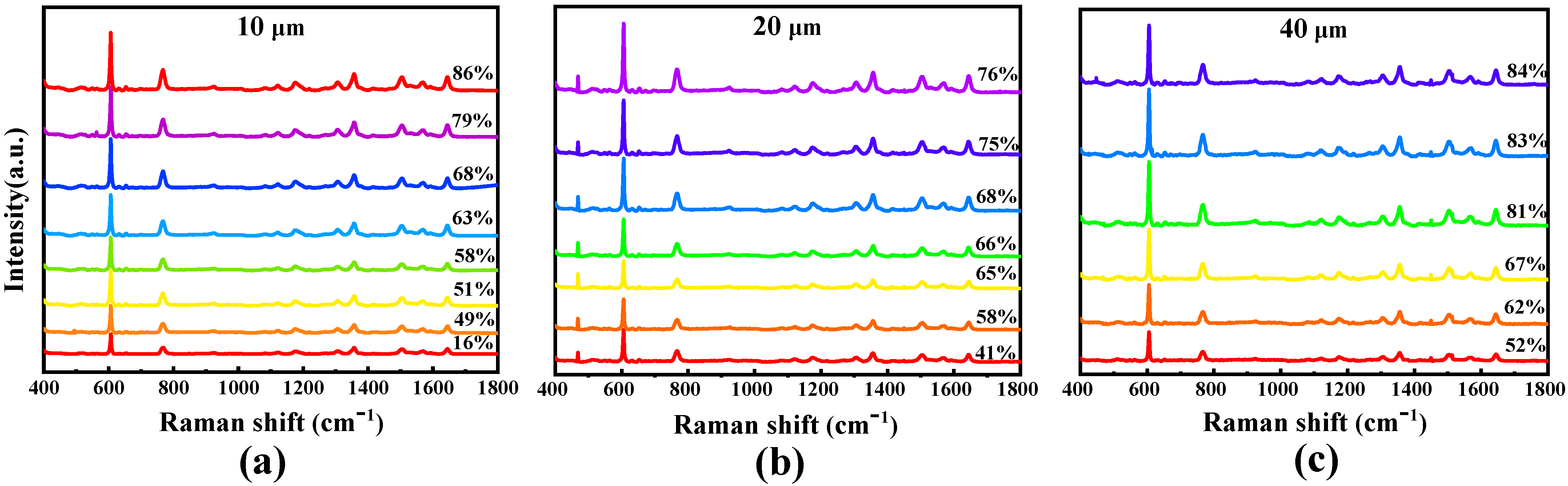 Molecules 26 06522 g008