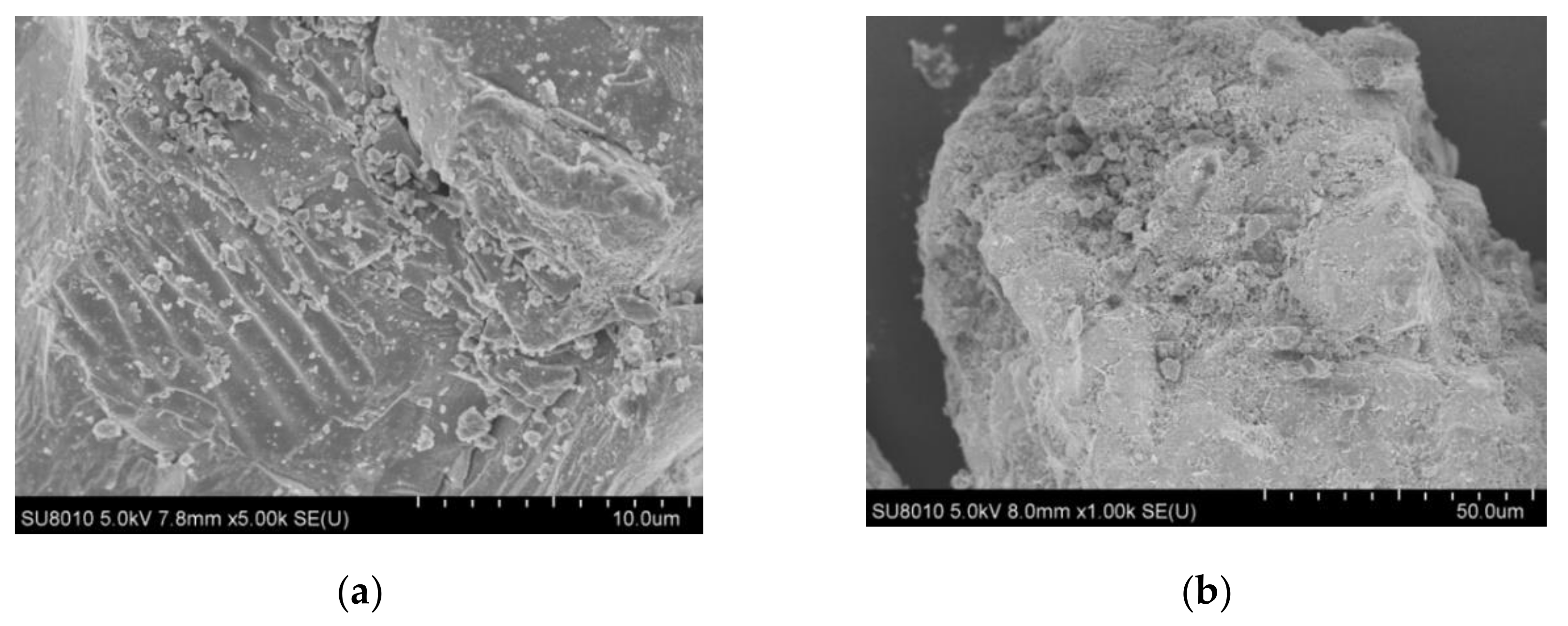 Molecules 26 06527 g001