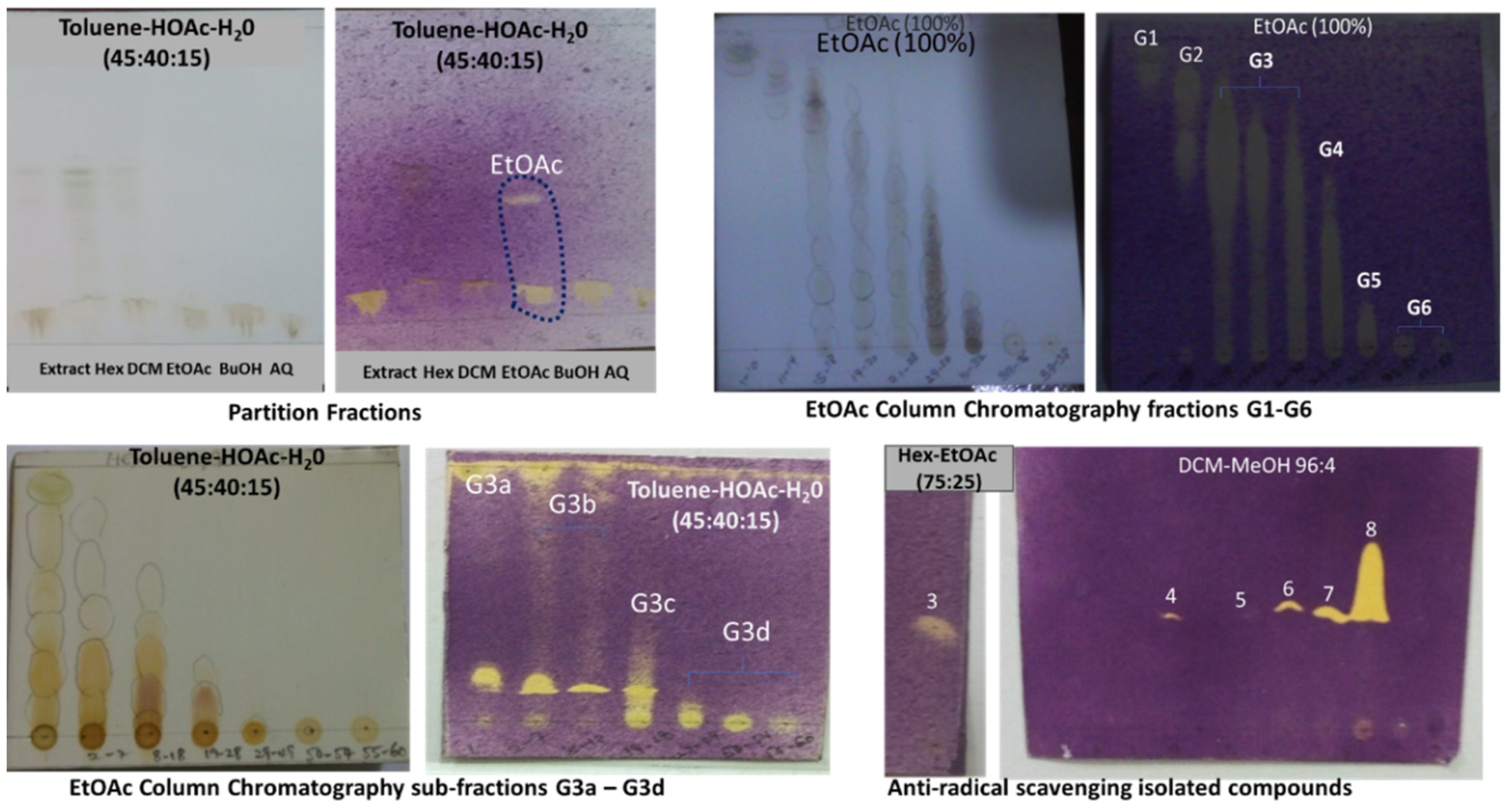 Molecules 26 06528 g002 Molecules 26 06528 g002