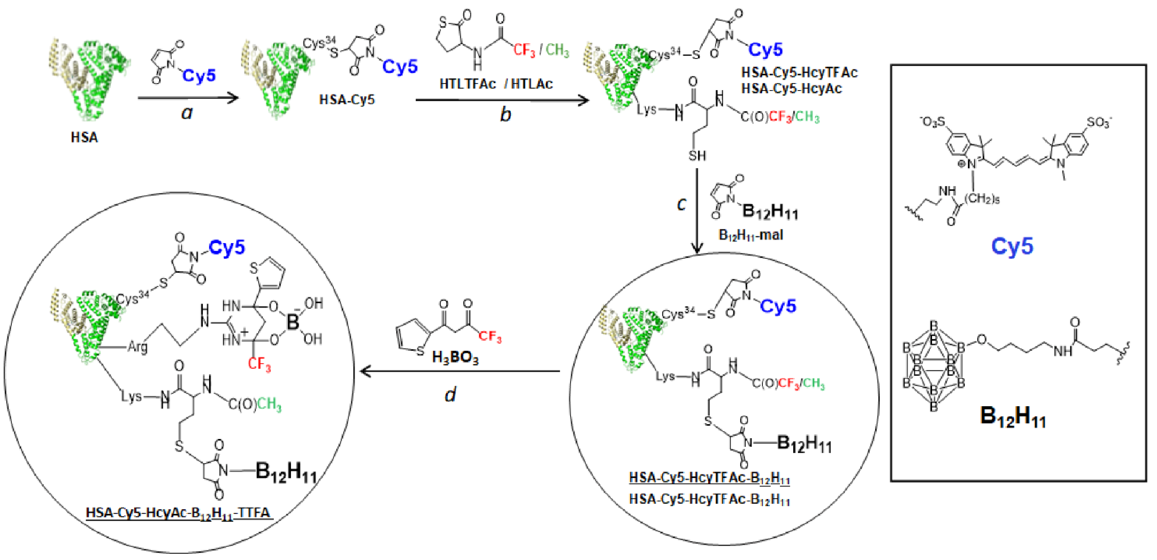Molecules 26 06537 g001