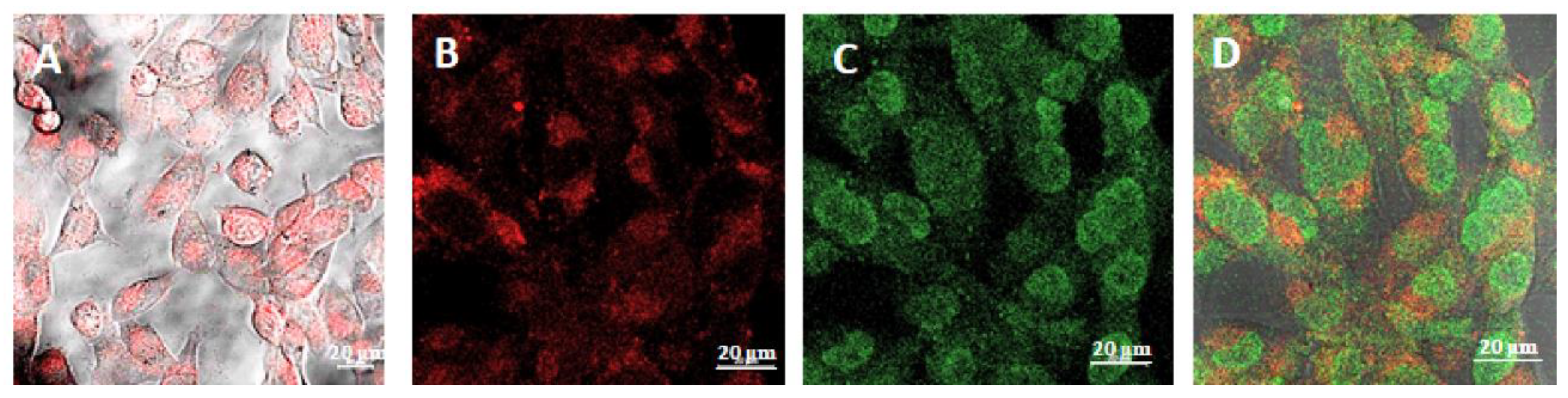 Molecules 26 06537 g005