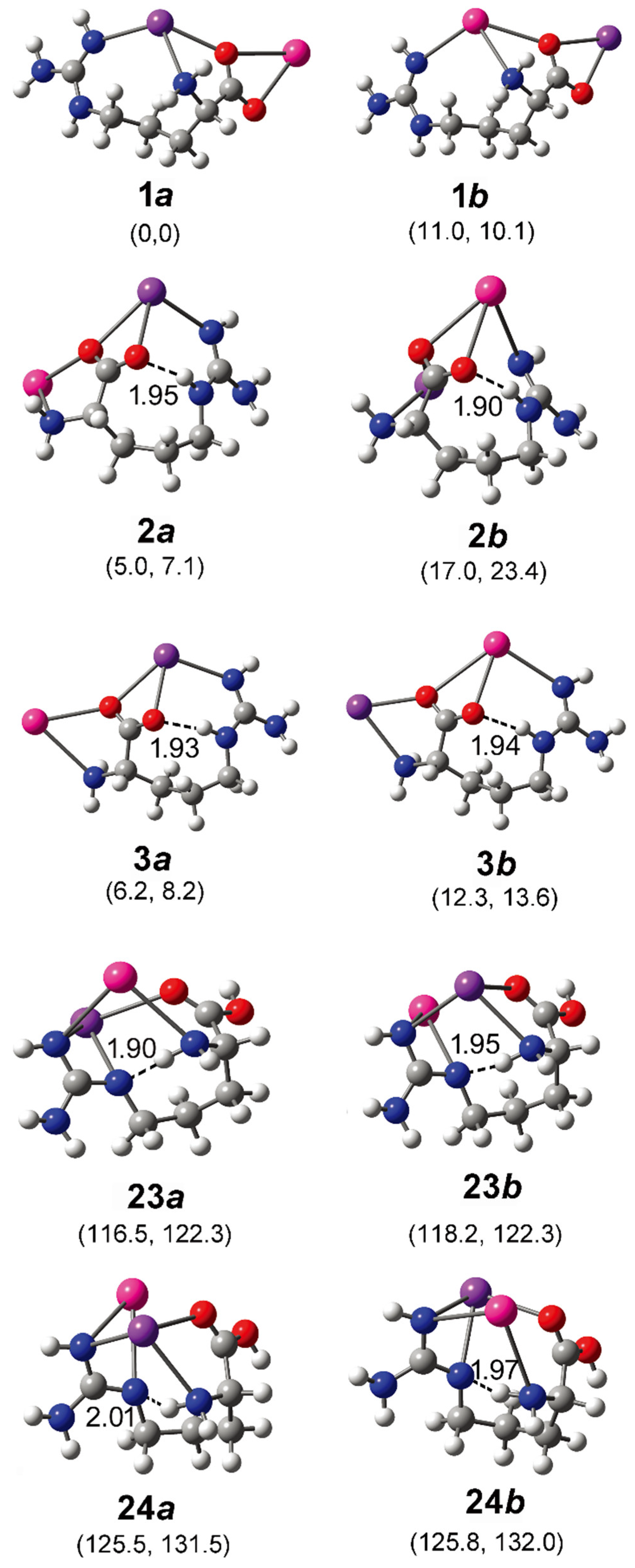 Molecules 26 06546 g003 Molecules 26 06546 g003