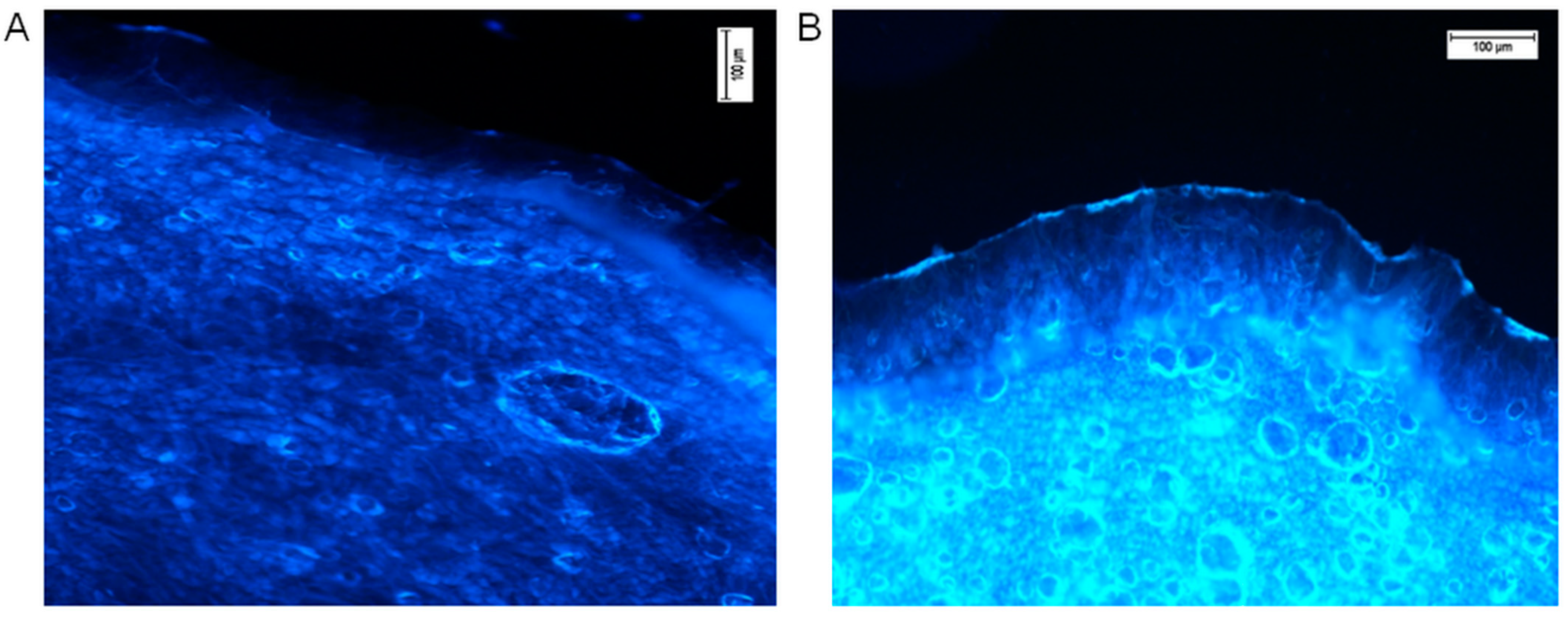 Molecules 26 06547 g003 Molecules 26 06547 g003