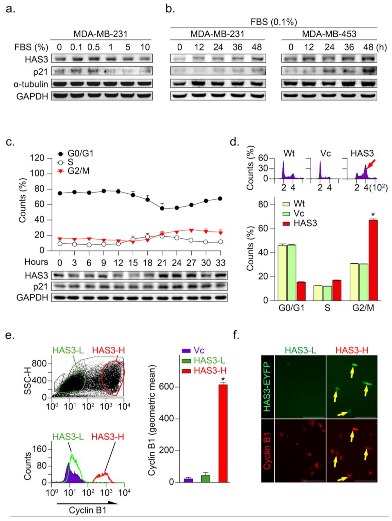 Molecules 26 06548 g003