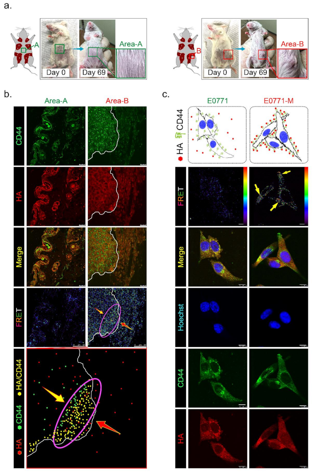 Molecules 26 06548 g006