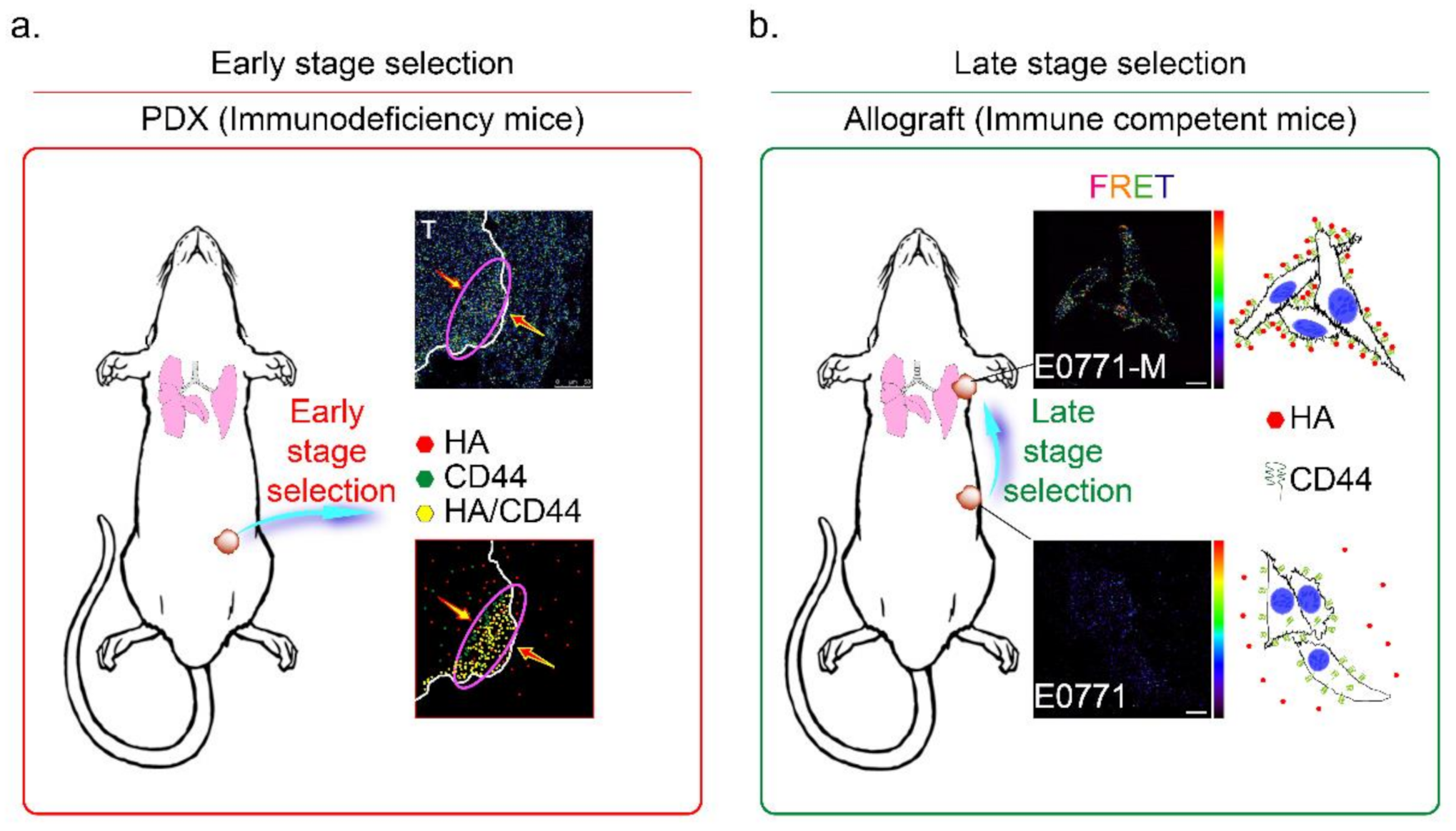 Molecules 26 06548 g007