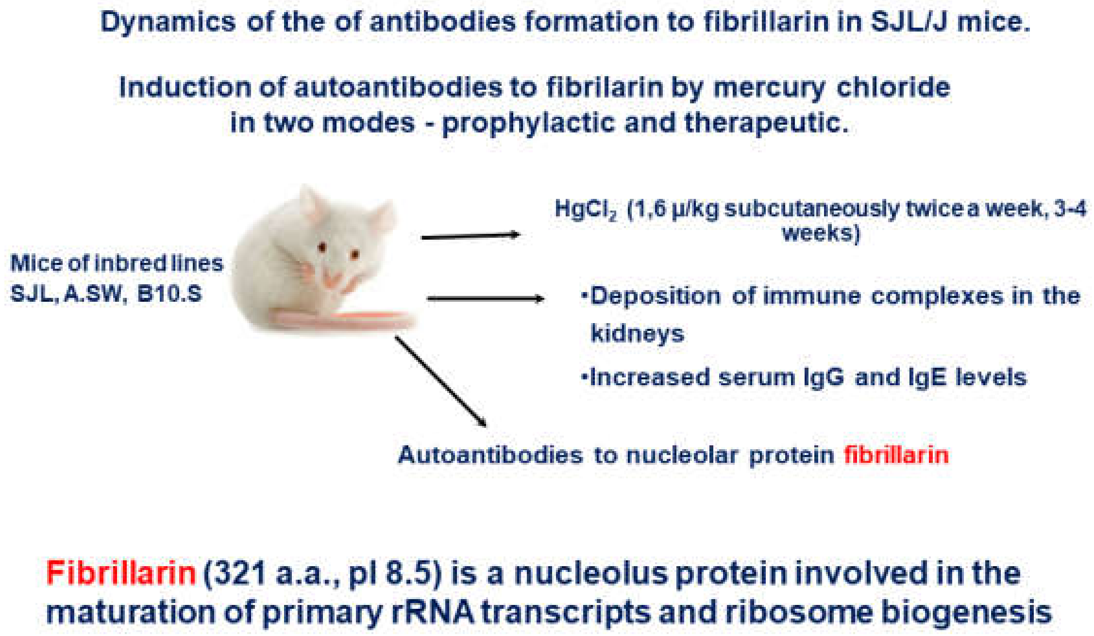 Molecules 26 06550 g002 Molecules 26 06550 g002
