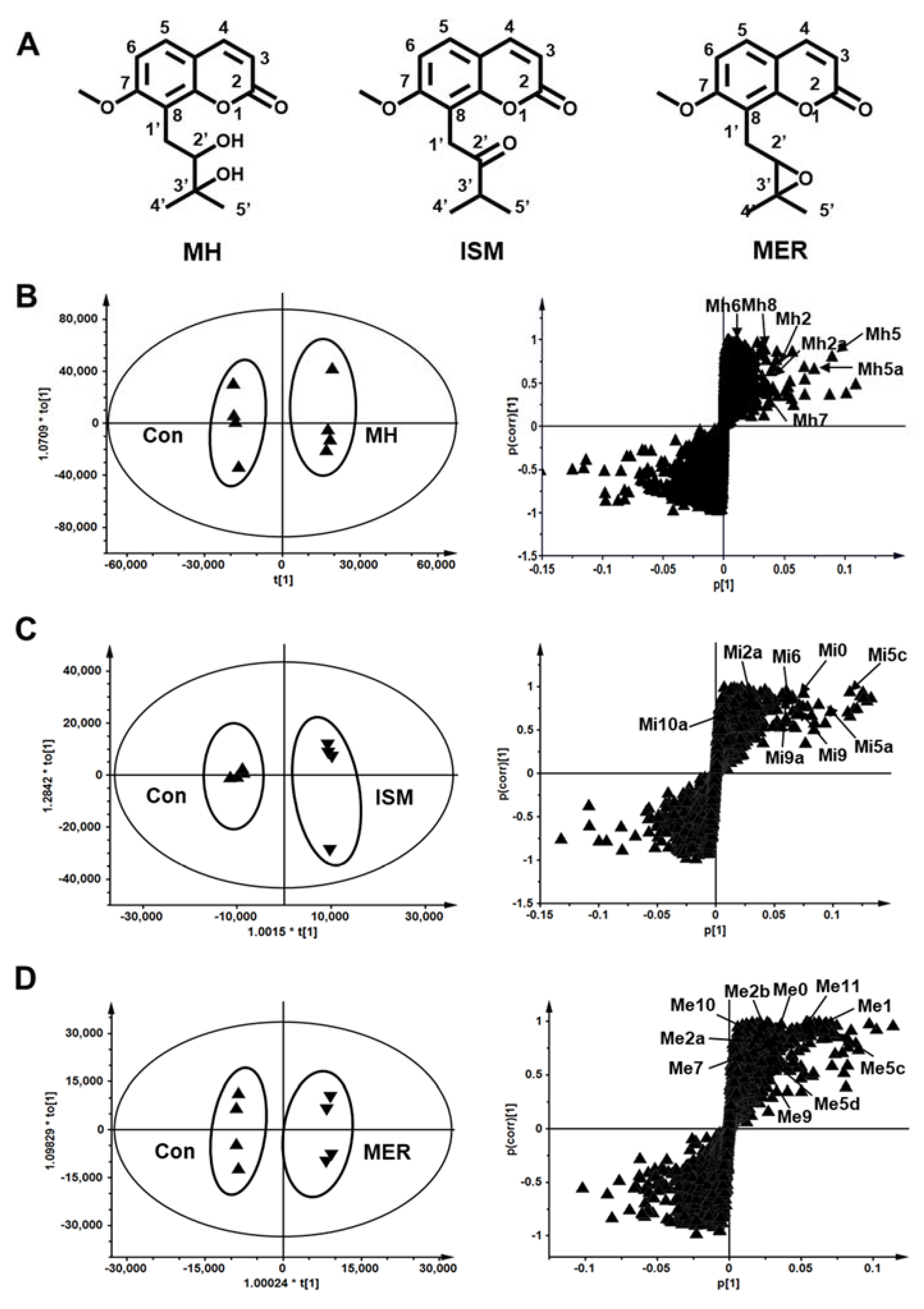 Molecules 26 06558 g001