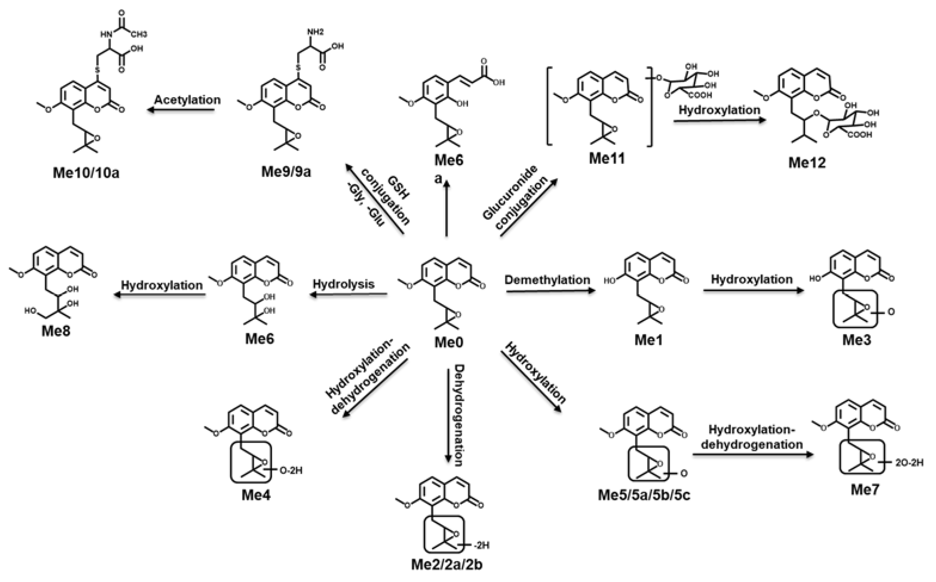 Molecules 26 06558 g009
