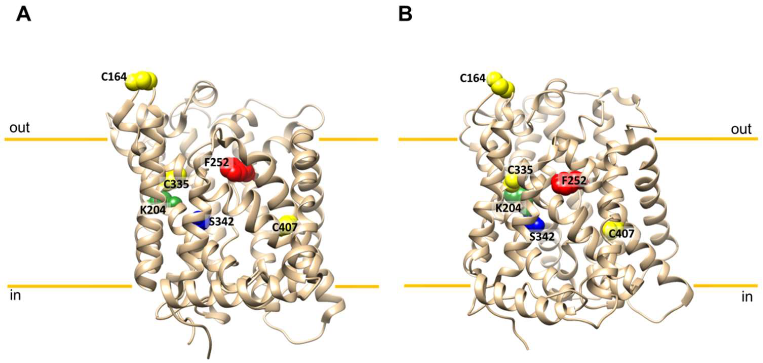 Molecules 26 06562 g001 550