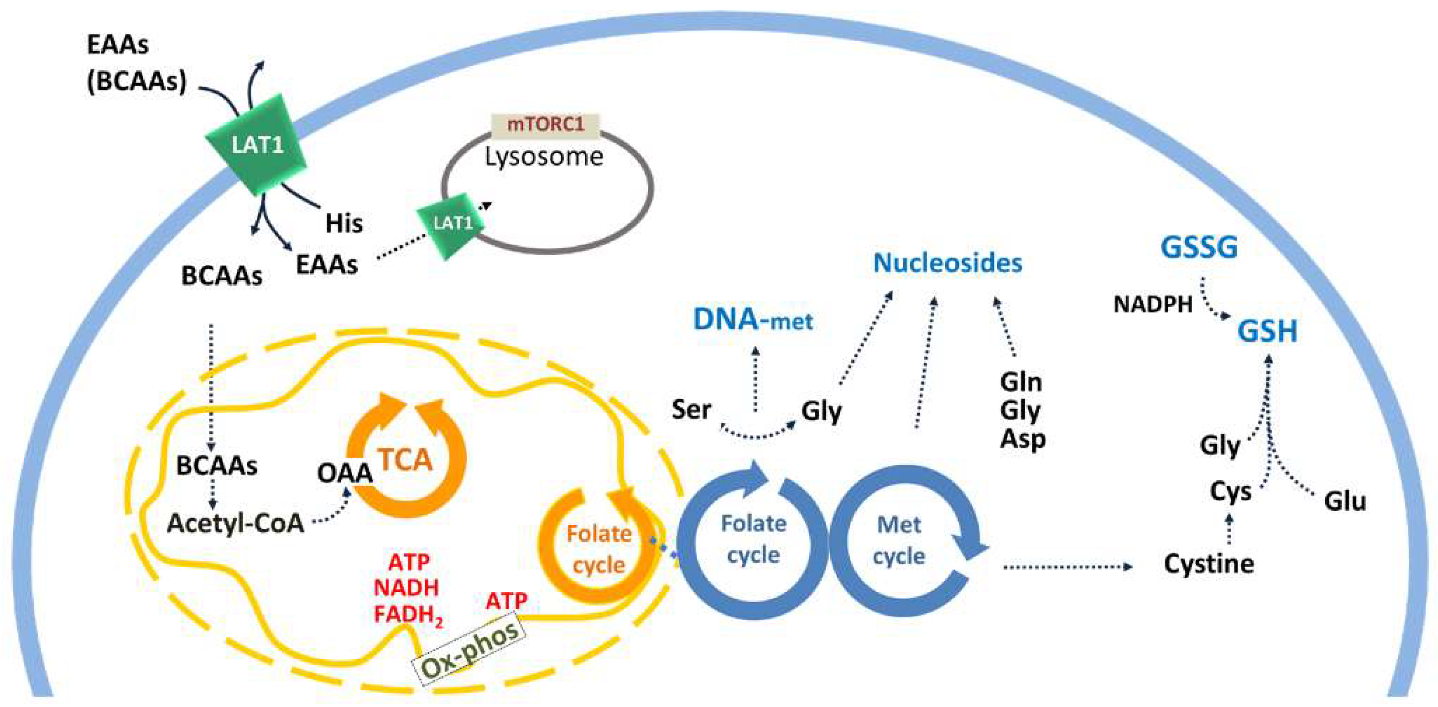 Molecules 26 06562 g002 550