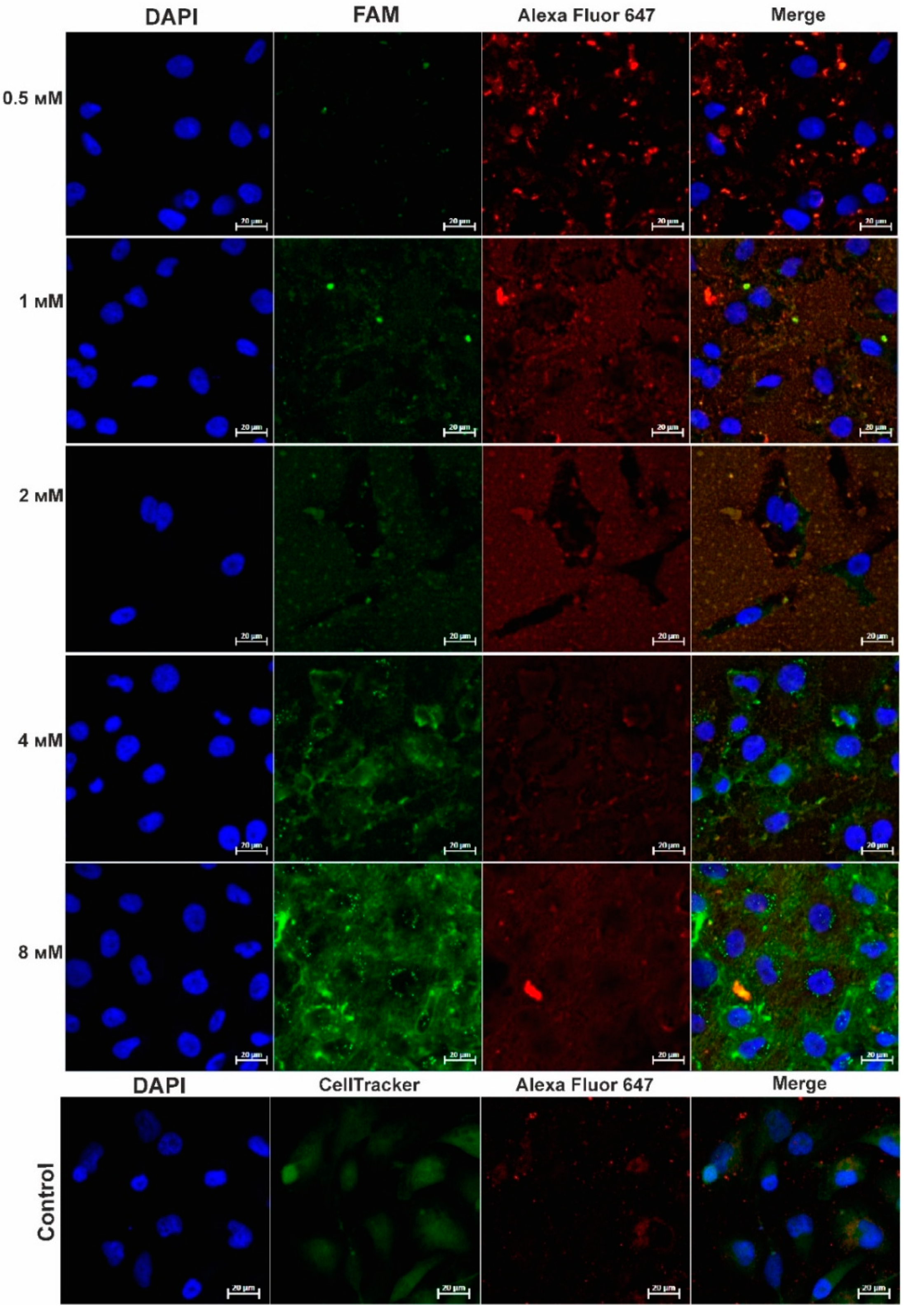 Molecules 26 06564 g006 550