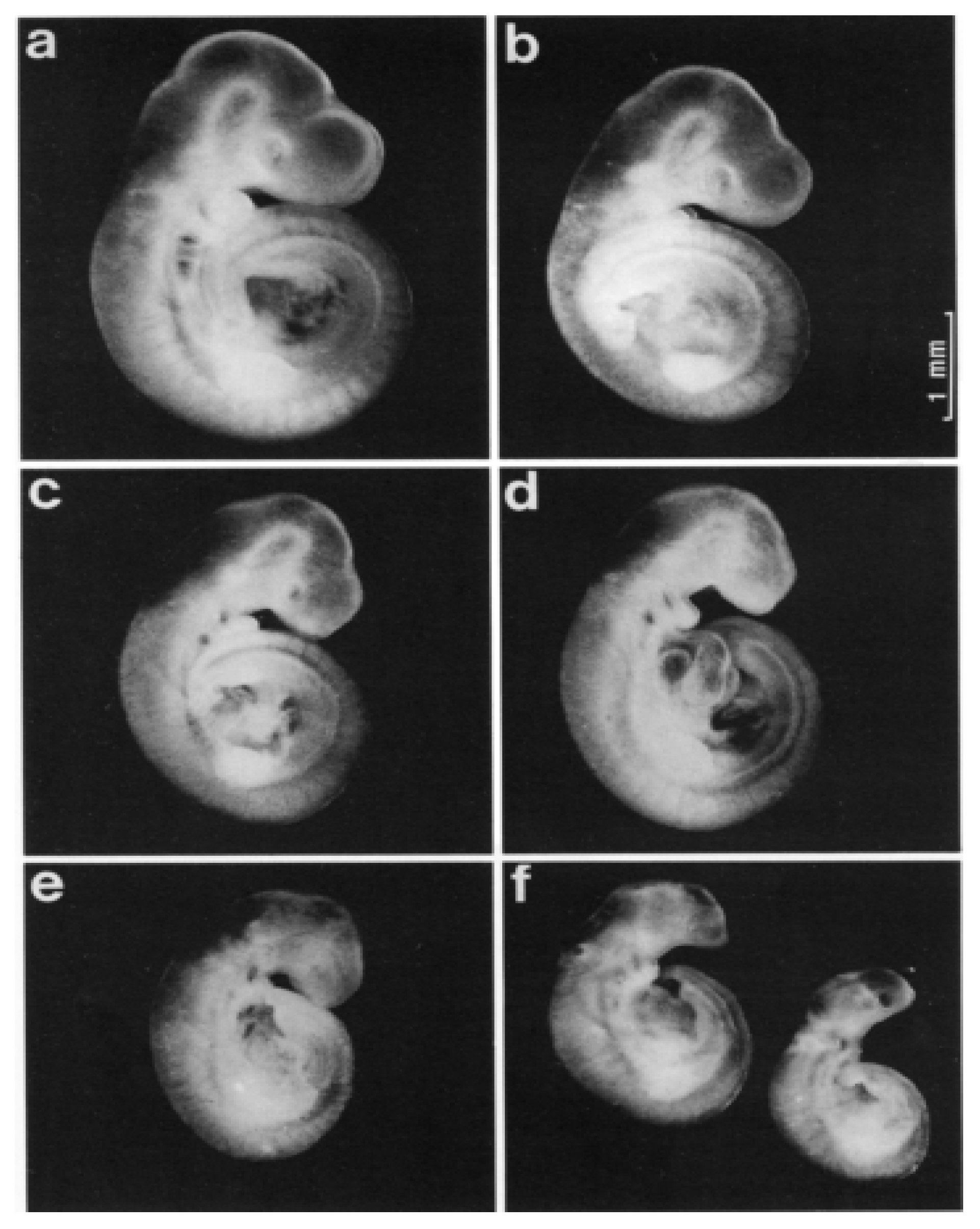 Molecules 26 06566 g002 Molecules 26 06566 g002