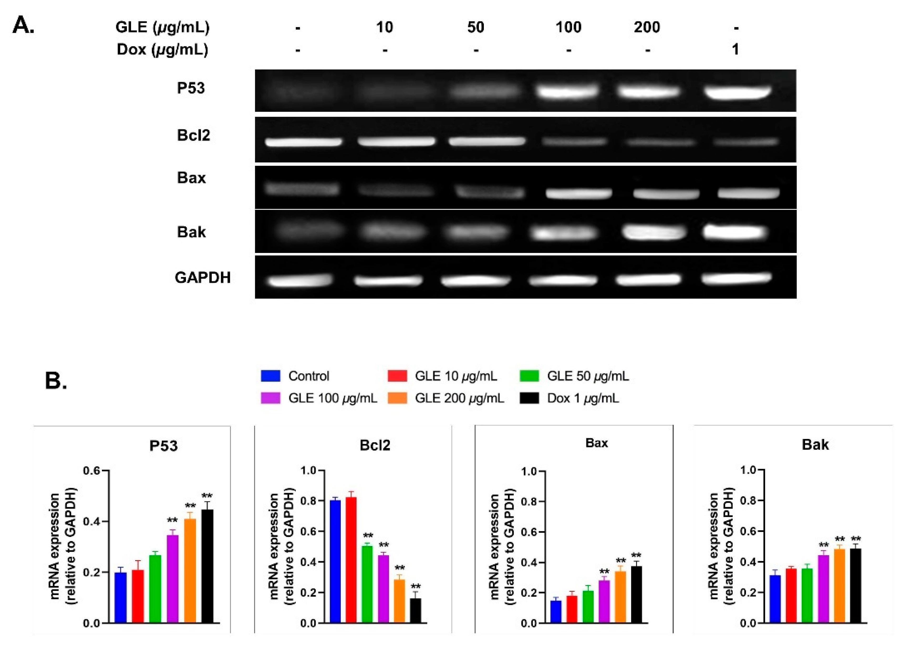 Molecules 26 06568 g005 Molecules 26 06568 g005
