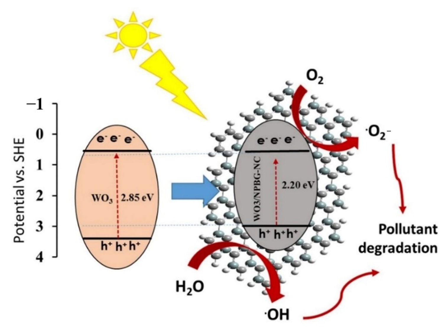 Molecules 26 06569 g011