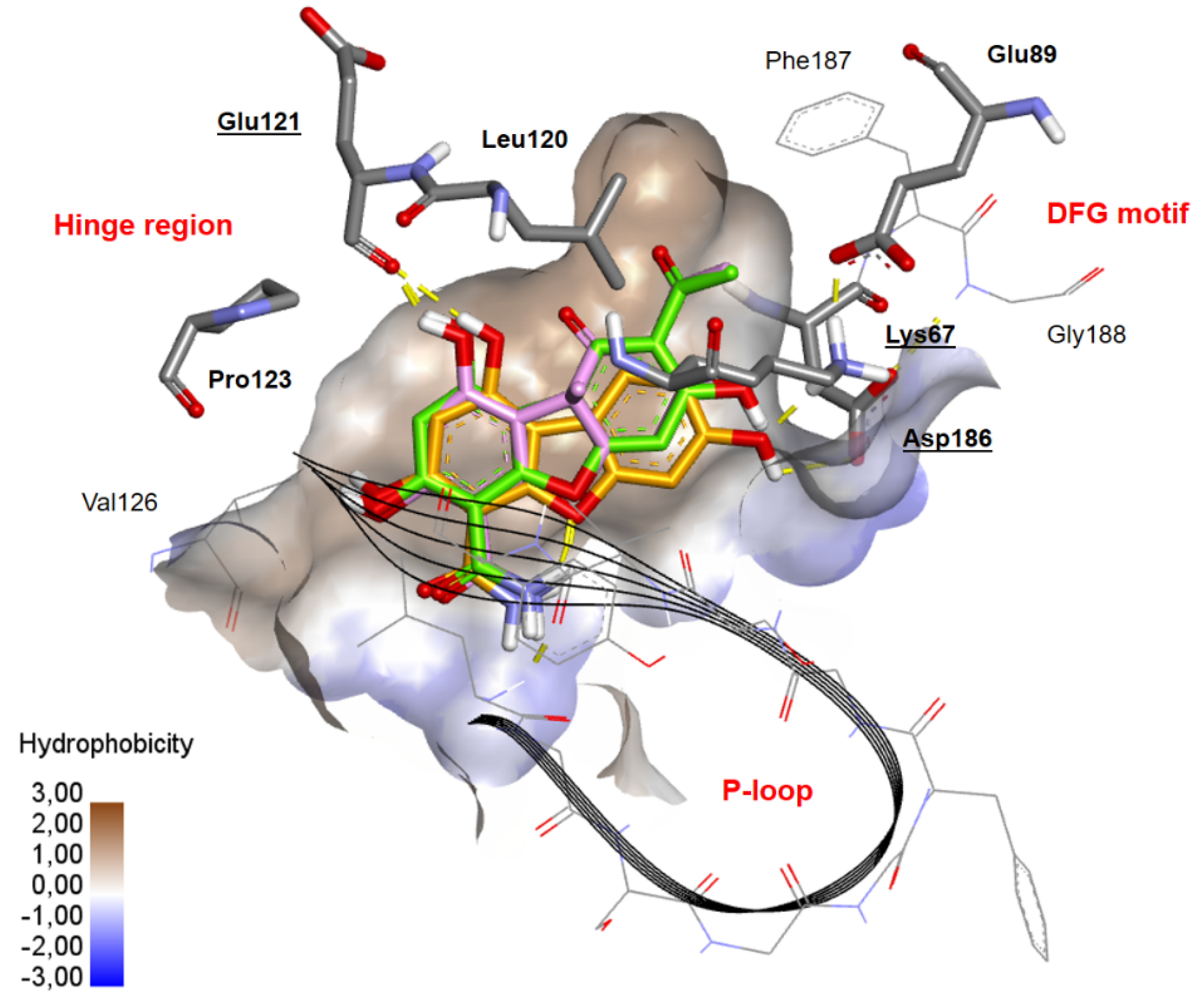Molecules 26 06572 g003