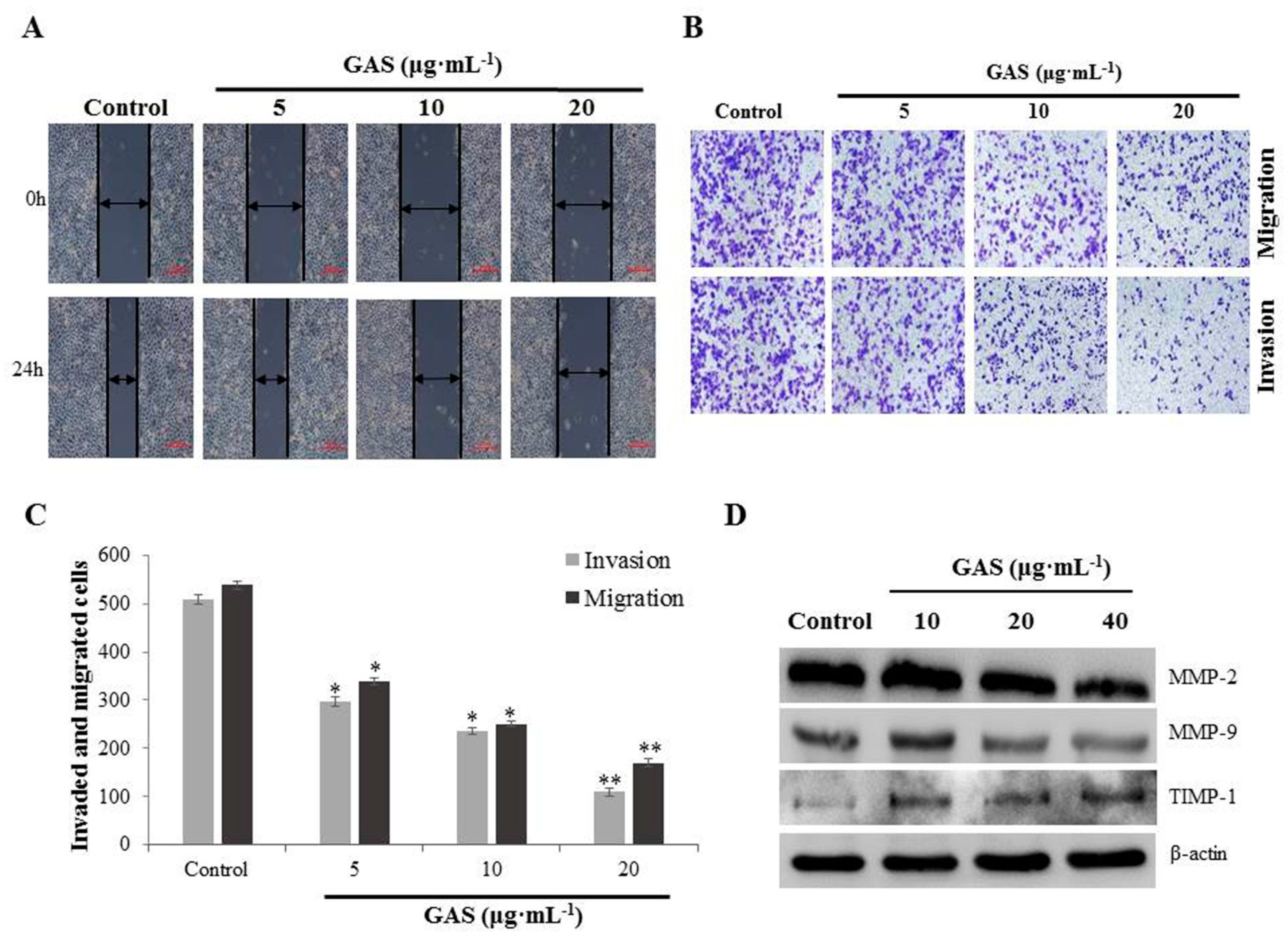 Molecules 26 06575 g003 Molecules 26 06575 g003