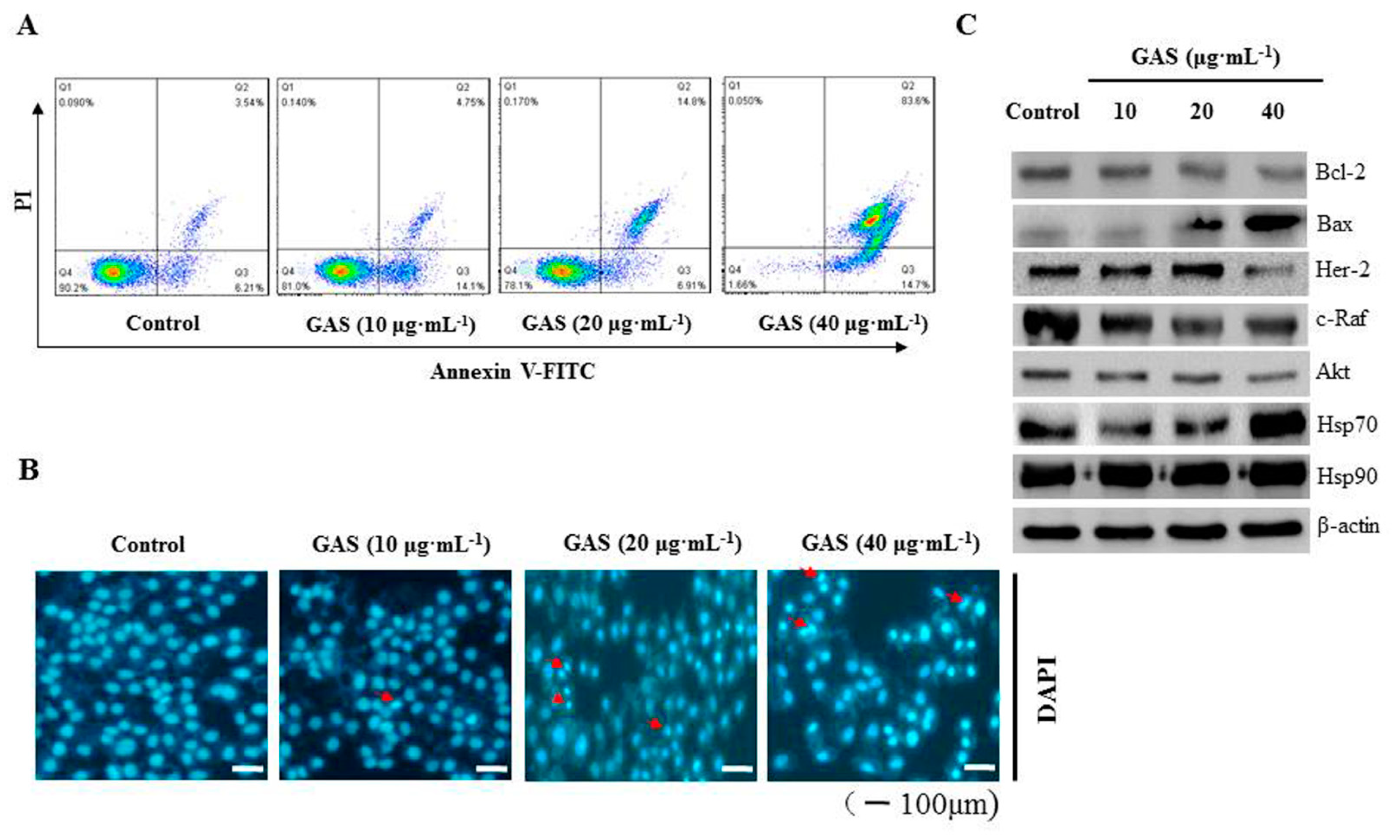 Molecules 26 06575 g004 Molecules 26 06575 g004
