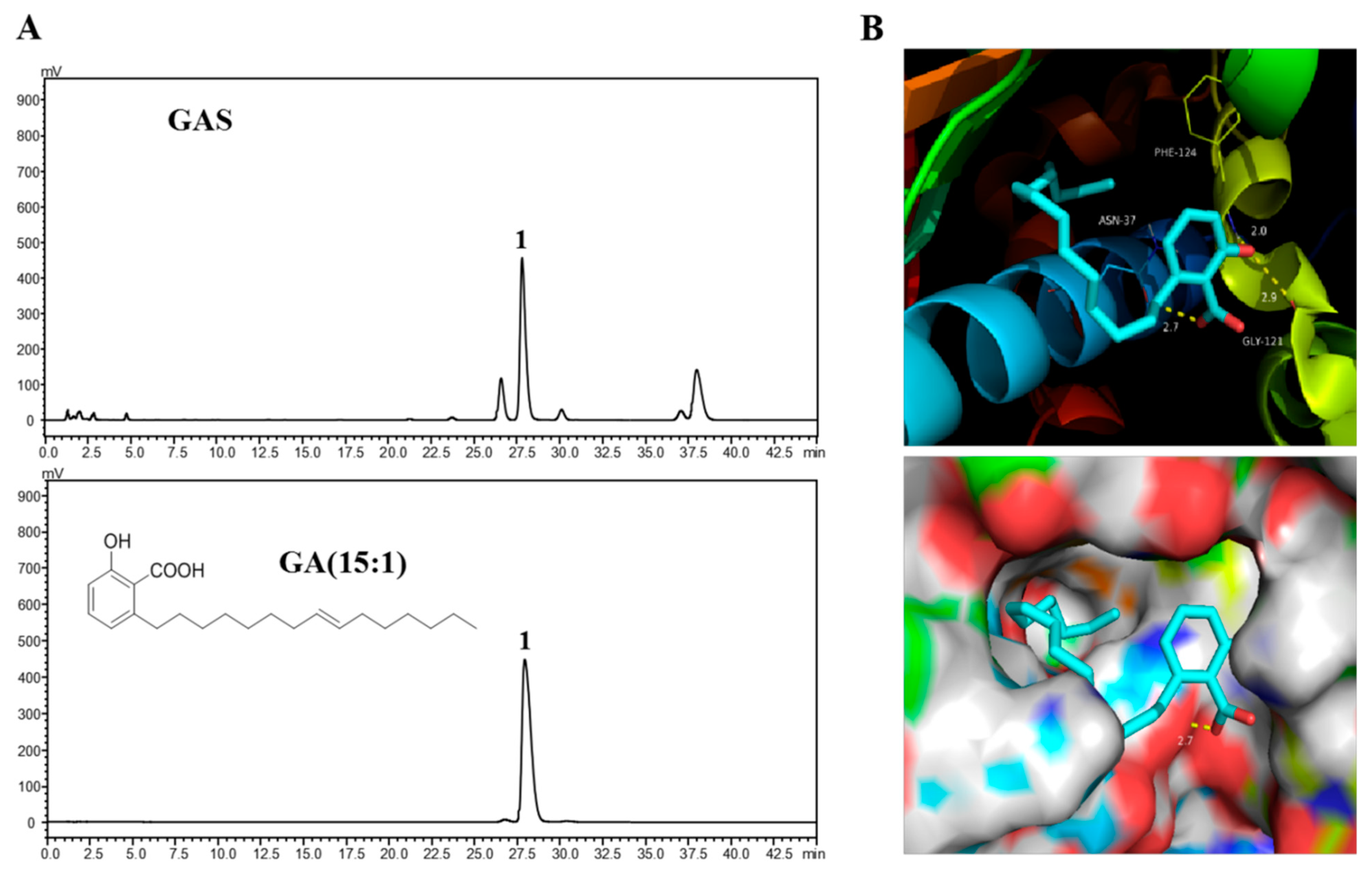 Molecules 26 06575 g005 Molecules 26 06575 g005