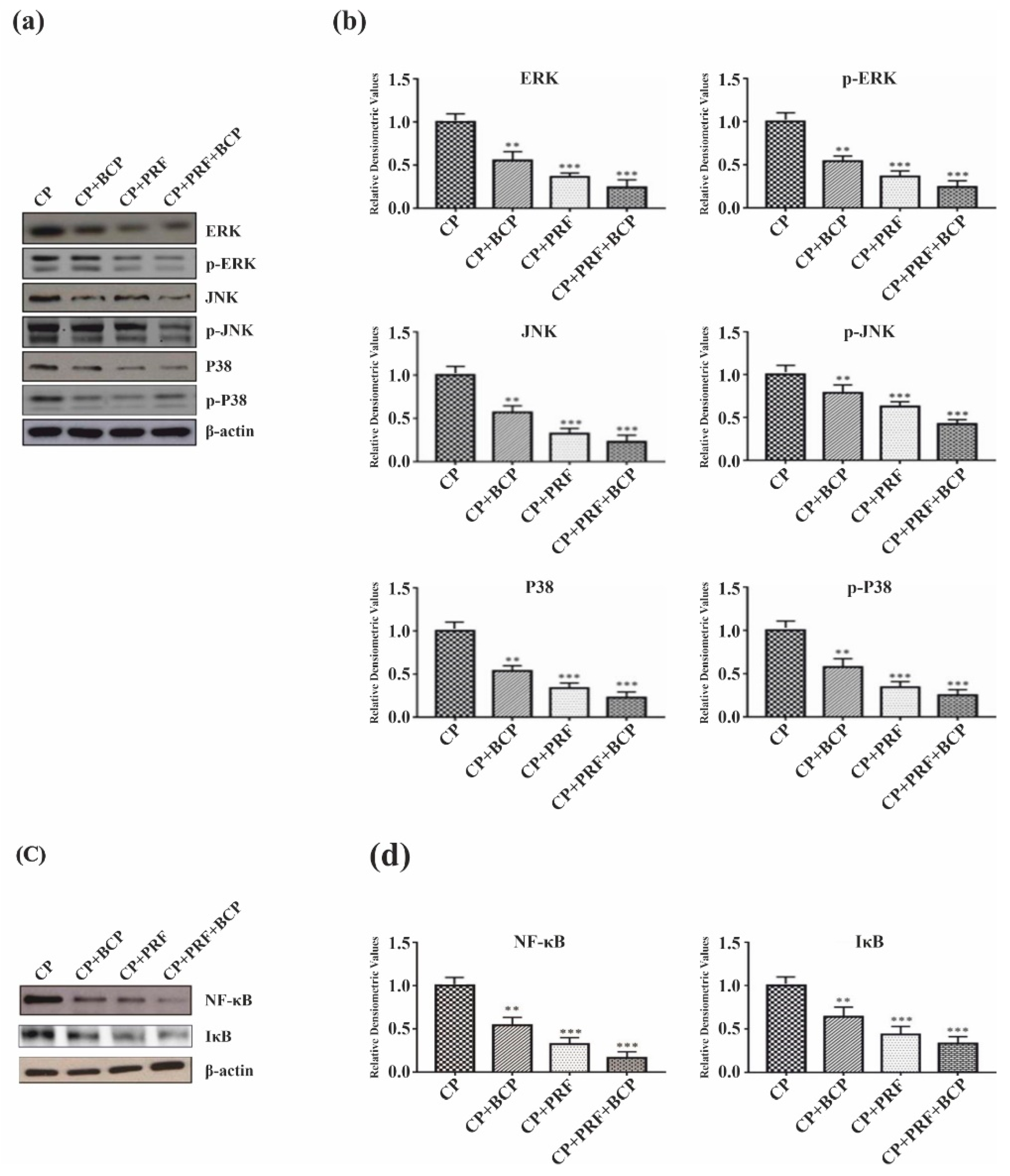 Molecules 26 06578 g003