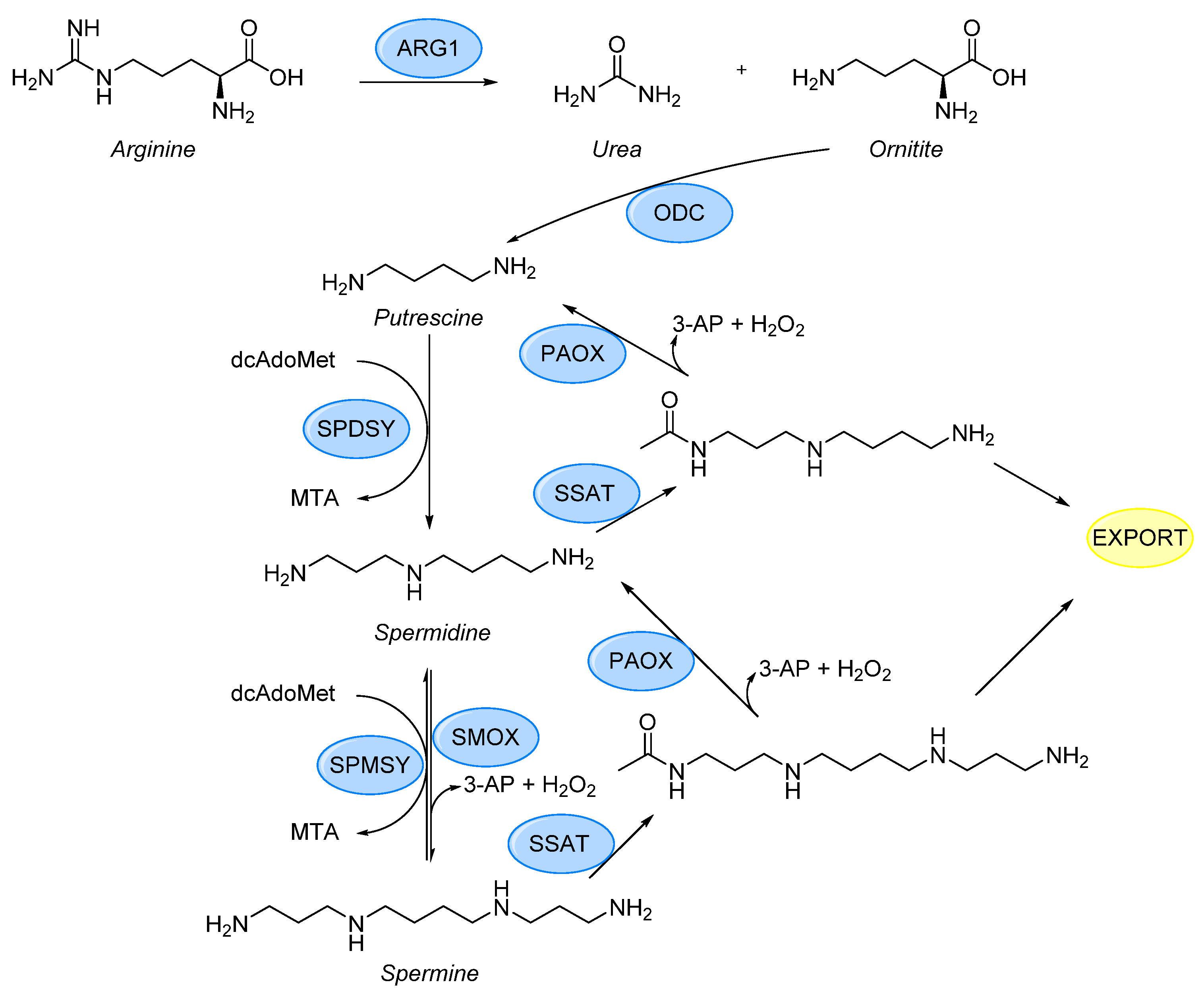 Molecules 26 06579 g002