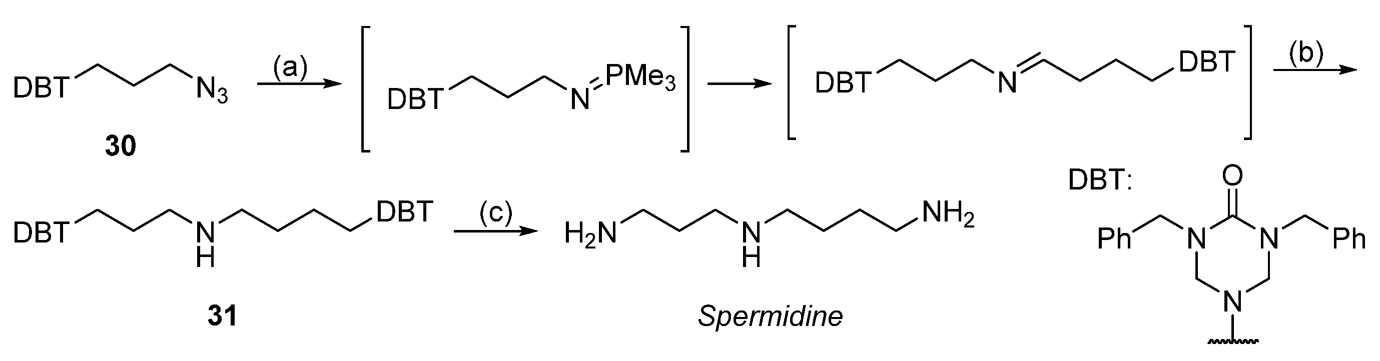 Molecules 26 06579 sch008