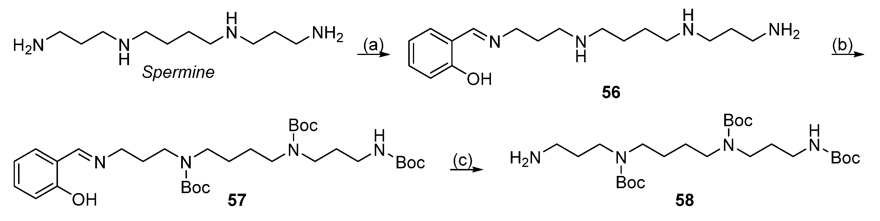 Molecules 26 06579 sch014