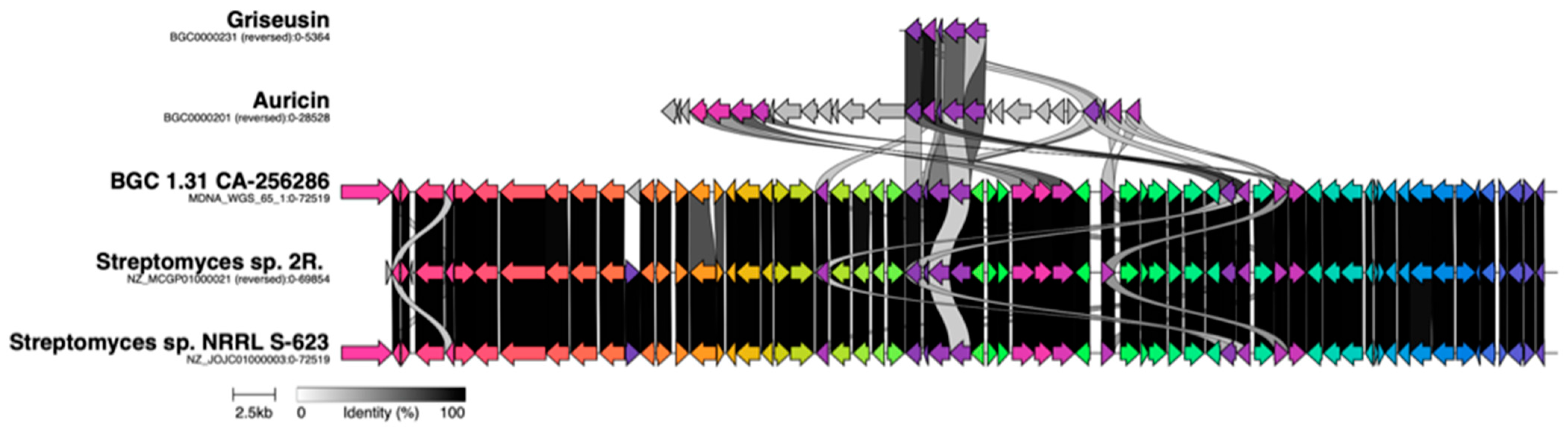 Molecules 26 06580 g010 550