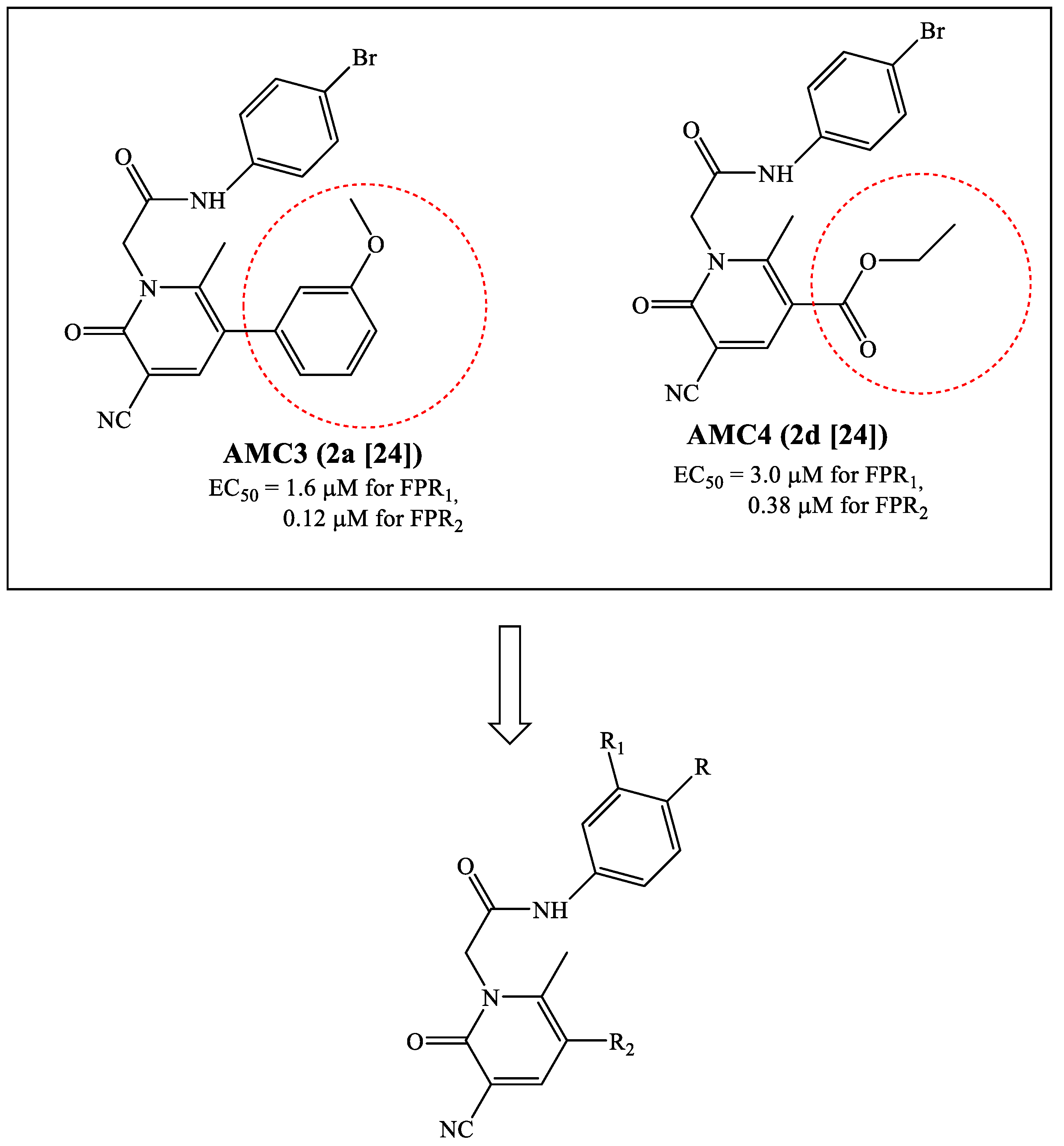 Molecules 26 06583 g002