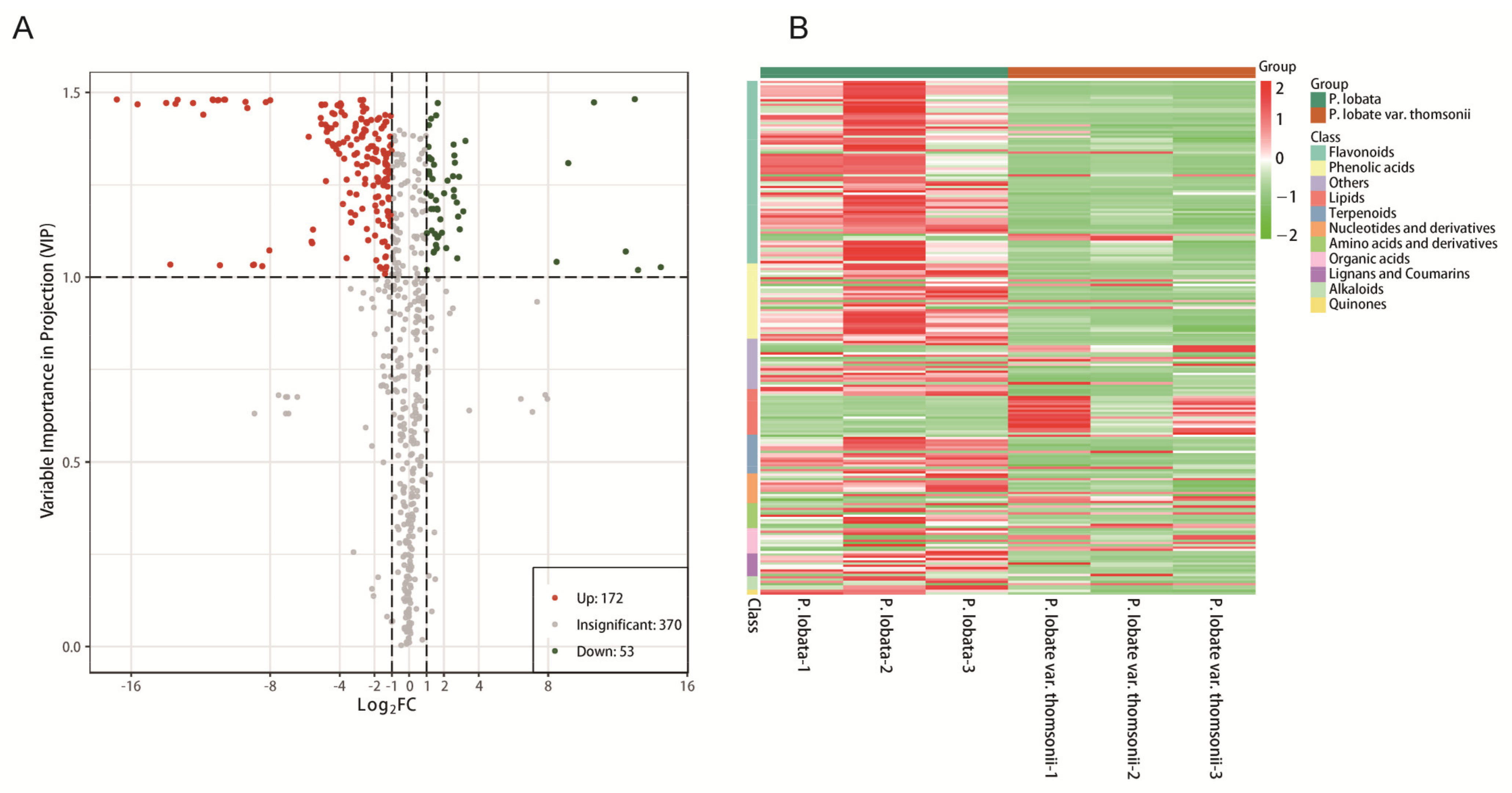 Molecules 26 06587 g005