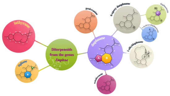 【ファッション通販】の商品をすべて Phytochemistry and Pharmacological Activities of the トップス