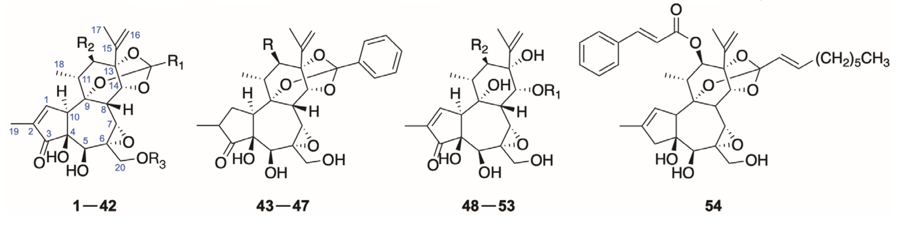 Molecules 26 06598 g002 Molecules 26 06598 g002