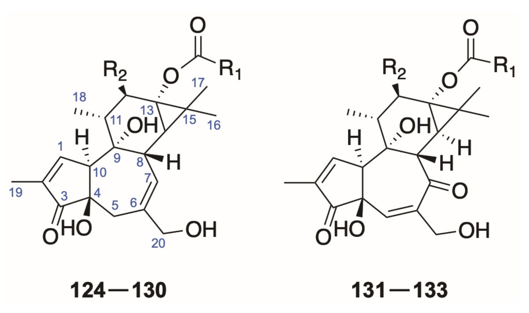Molecules 26 06598 g008 Molecules 26 06598 g008