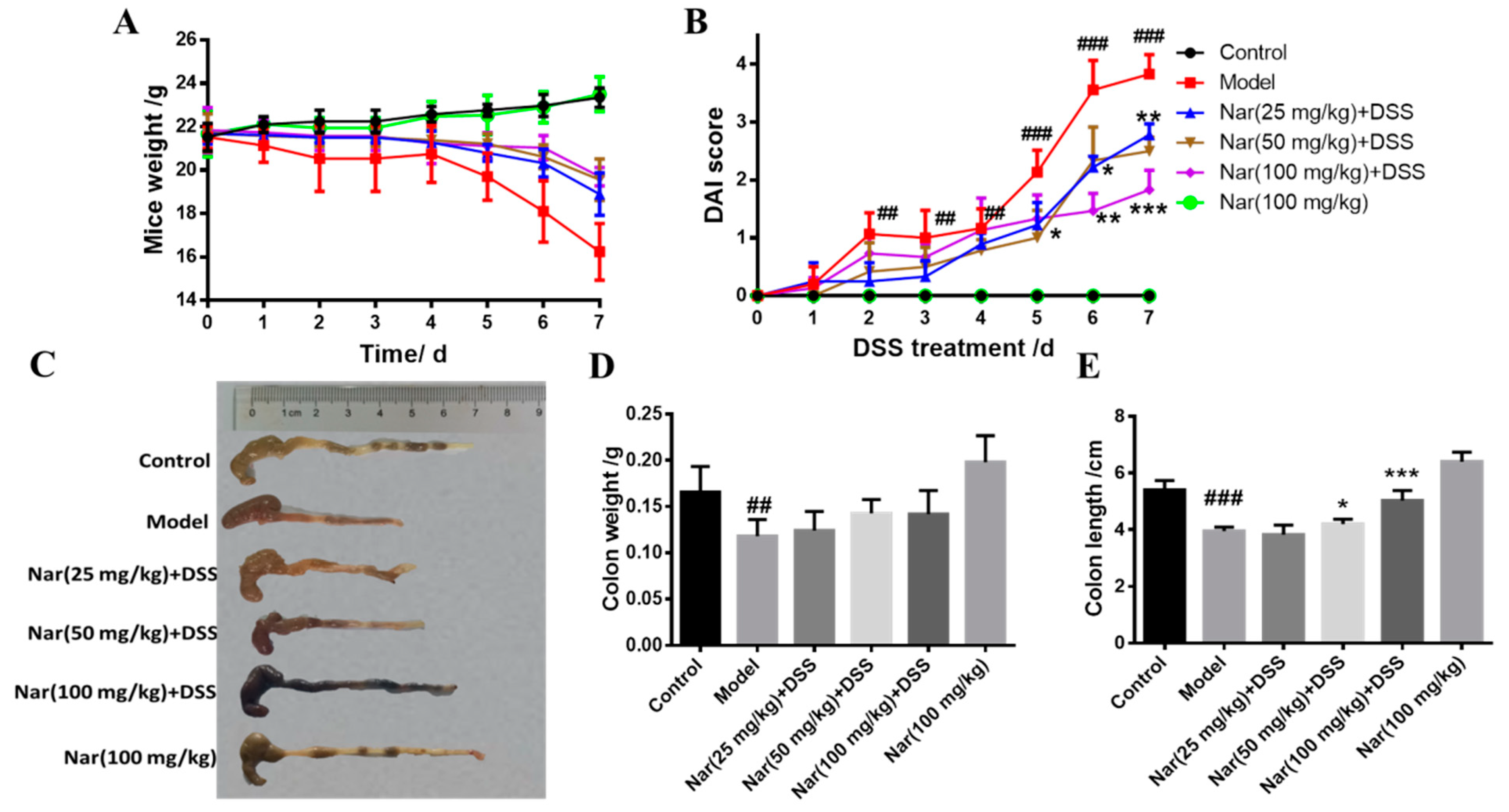 Molecules 26 06604 g001