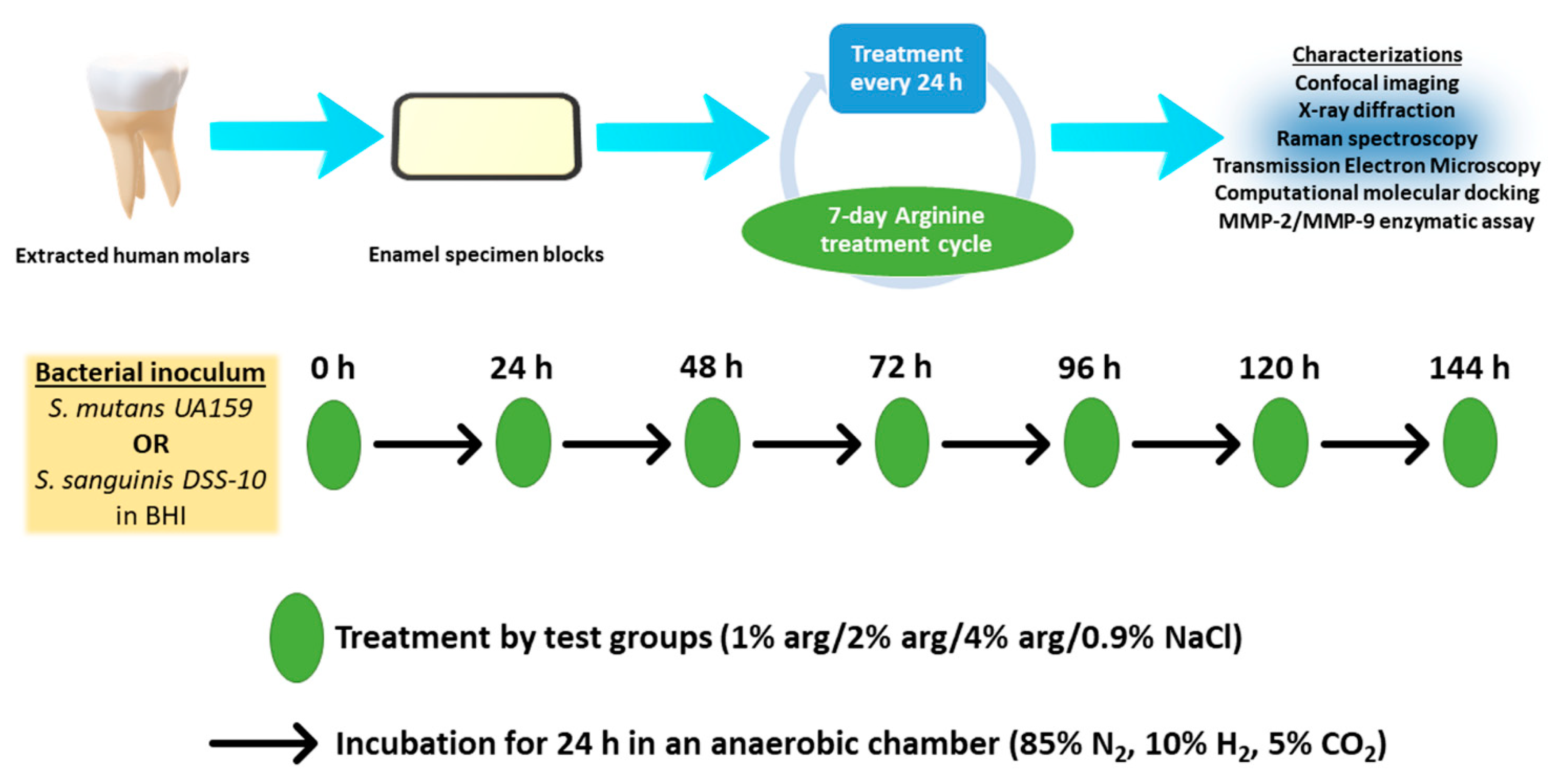 Molecules 26 06605 g005 550