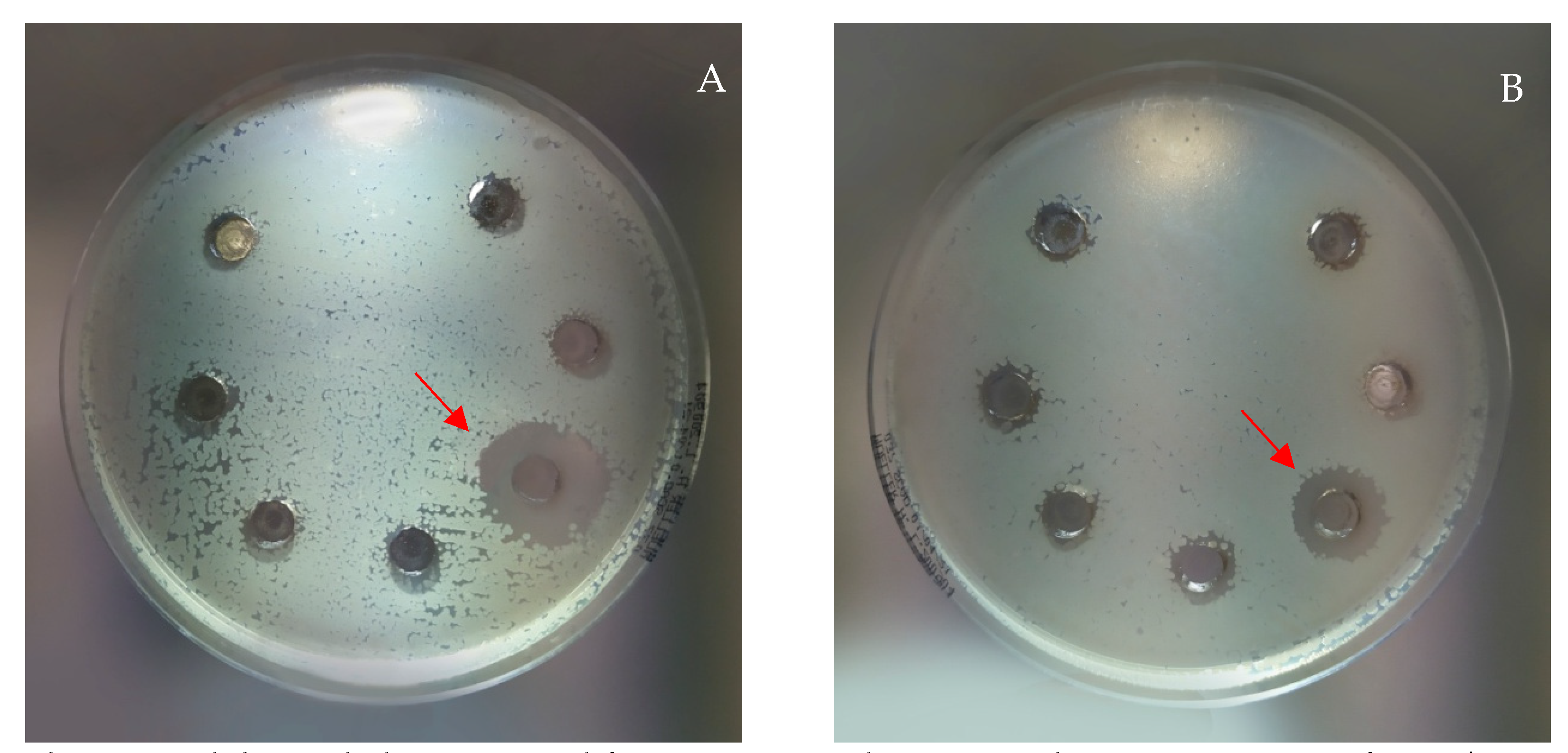 Molecules 26 06607 g003