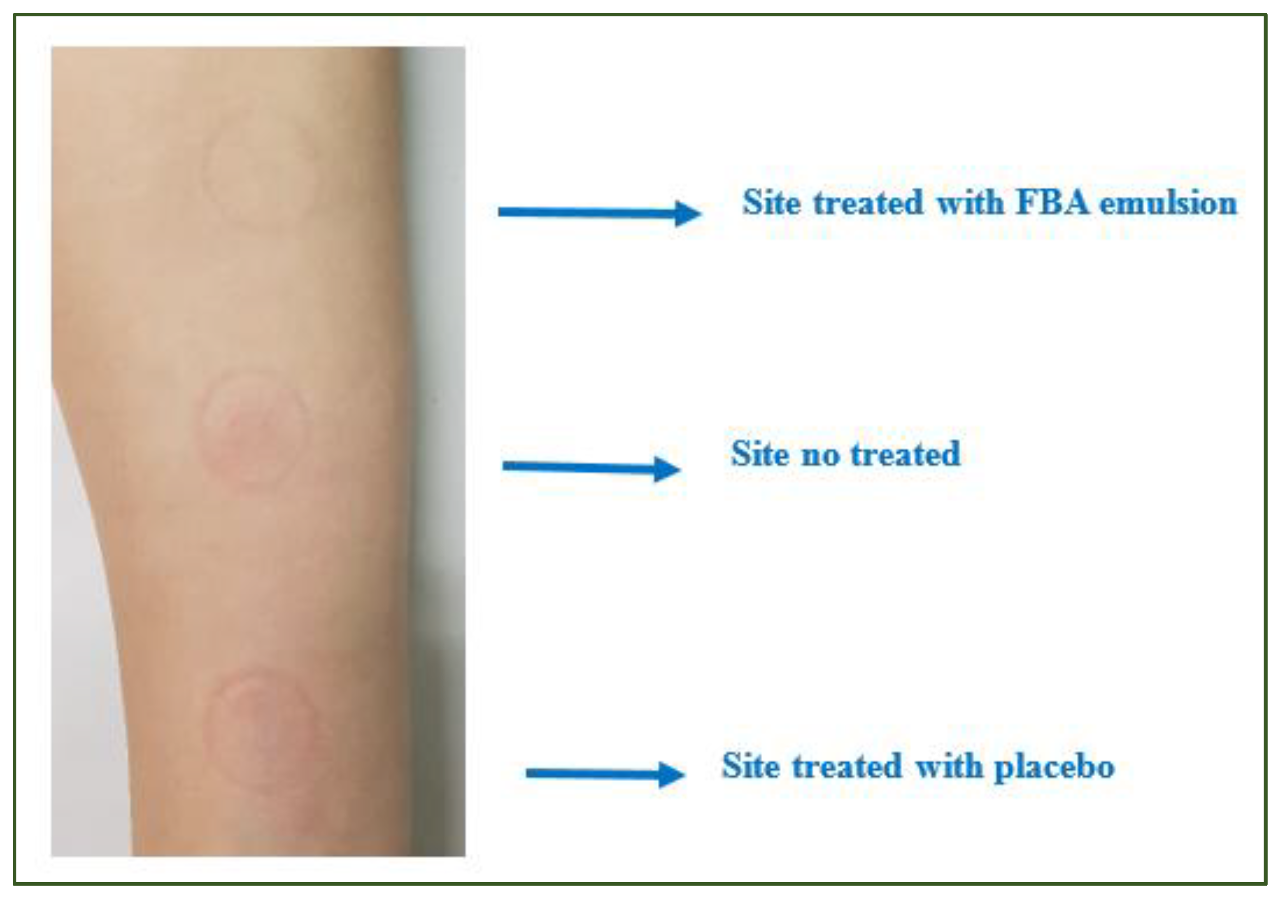 Molecules 26 06611 g003