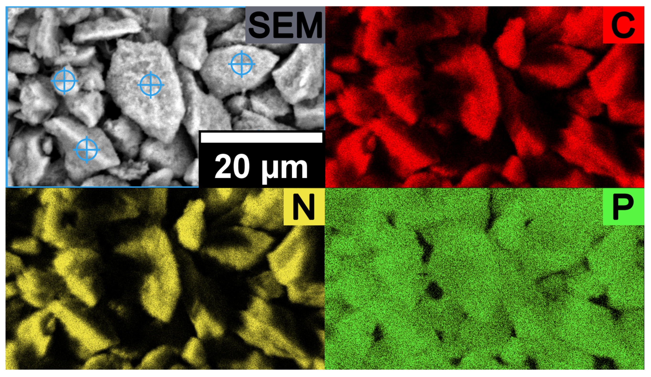 Molecules 26 06615 g009 Molecules 26 06615 g009