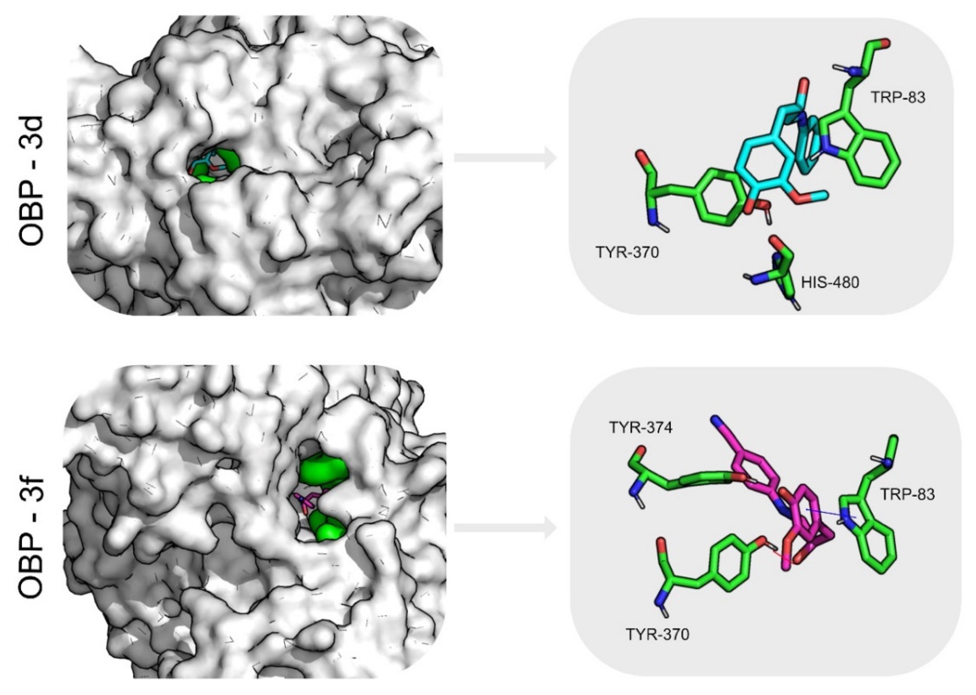 Molecules 26 06616 g005